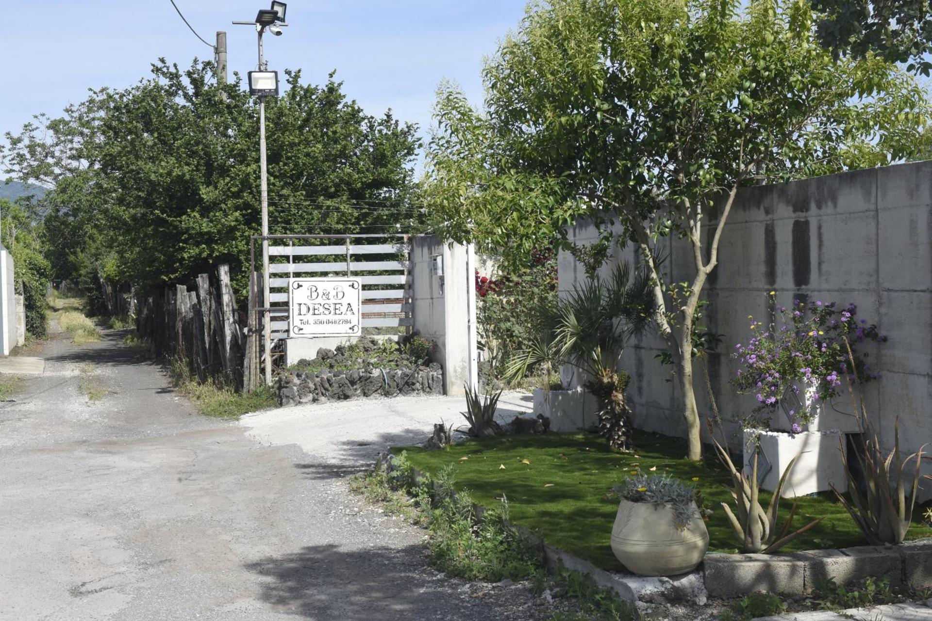 B&B Desea - Photo 10