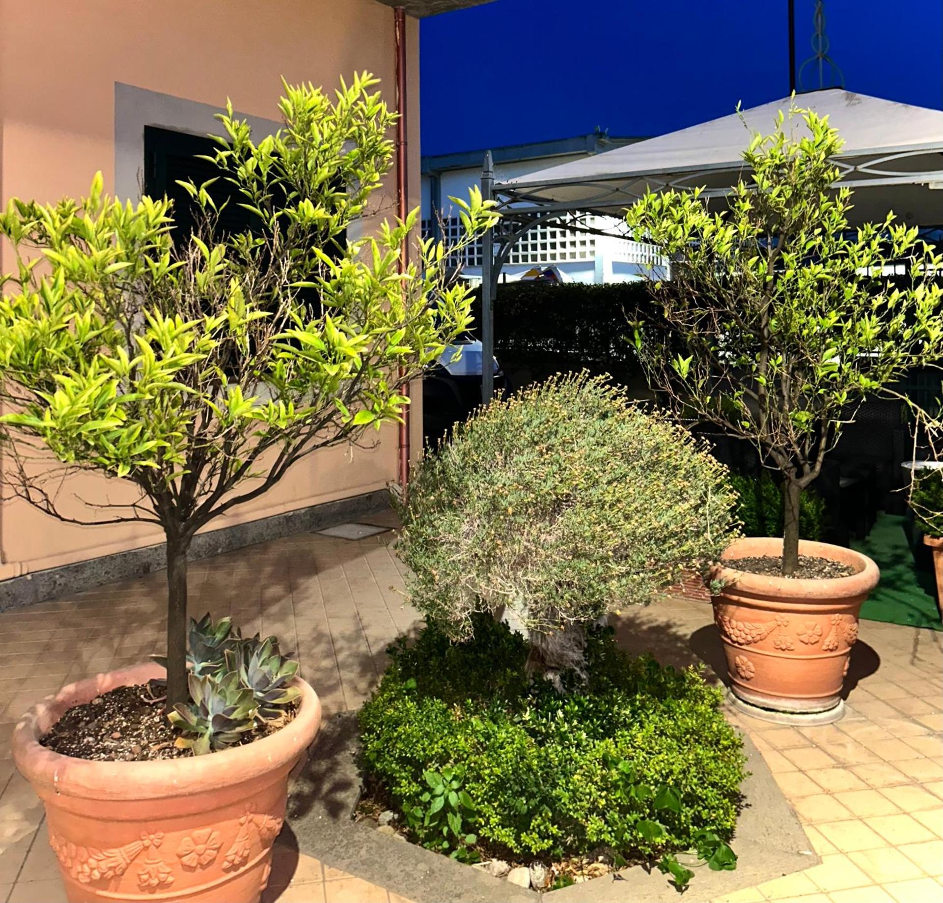 Hotel Dei Tartari - Photo 26