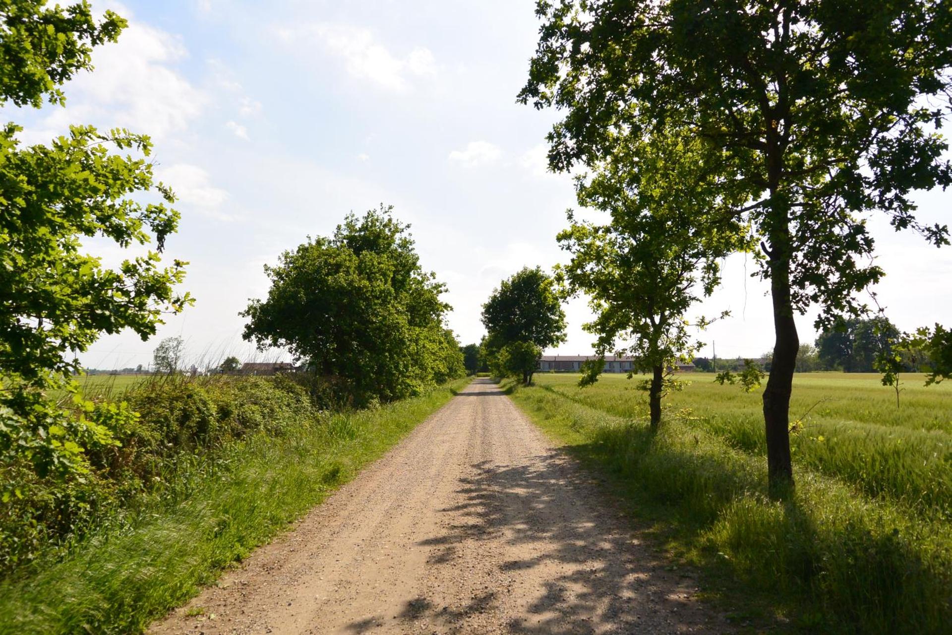 Agriturismo Cascina Mora - Photo 23