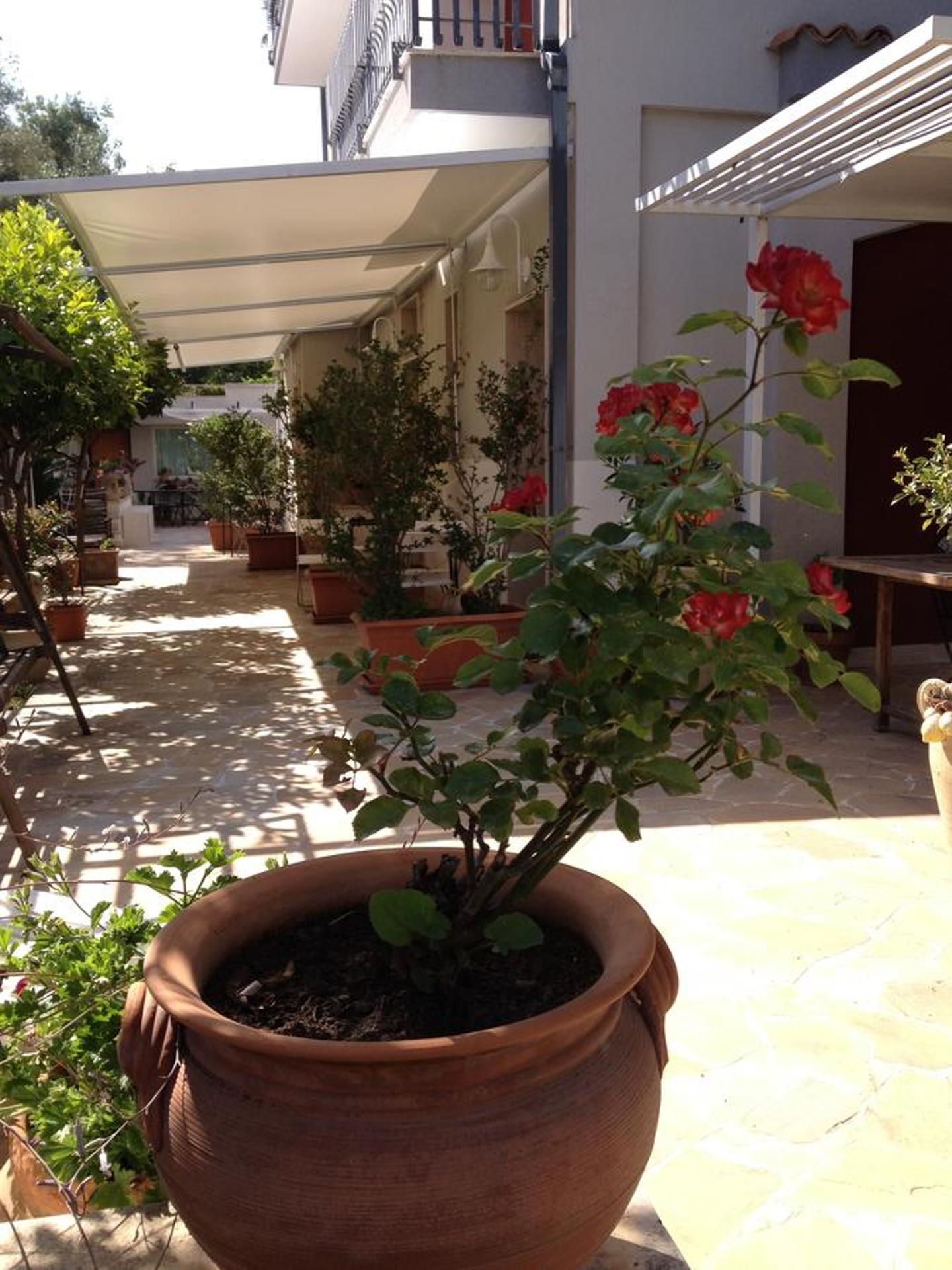 Il Giardino Dei Limoni - Photo 42