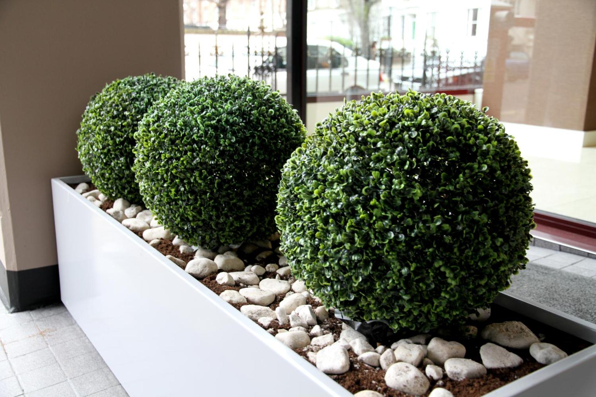 Hotel Lily - Photo 14