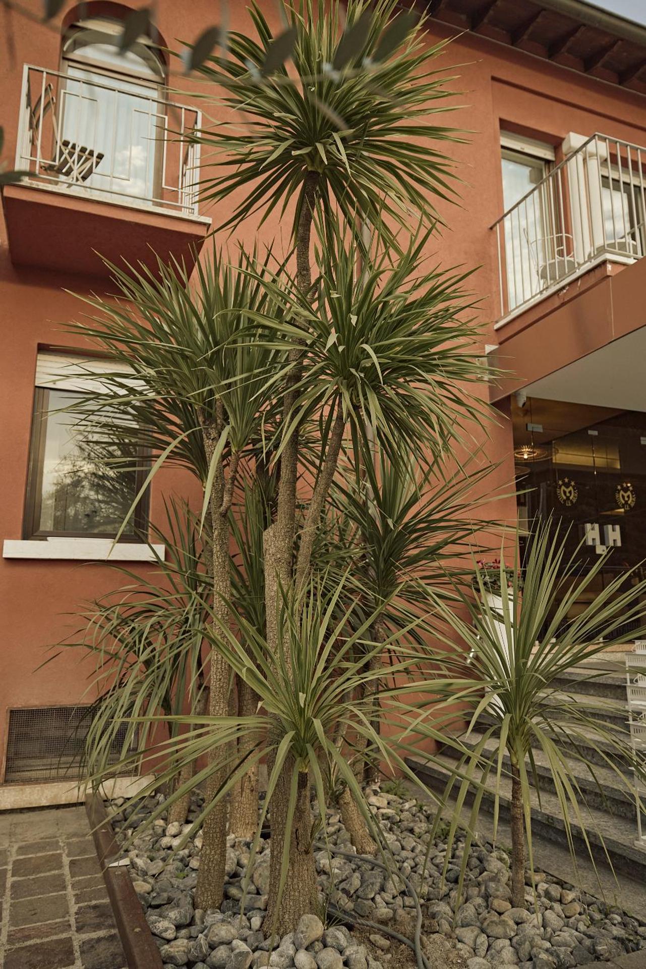 Hotel Le Mura - Photo 27