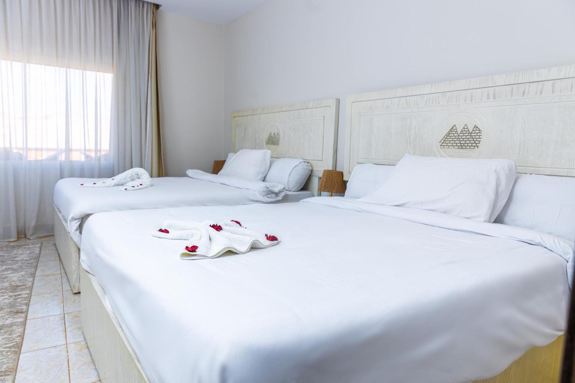 Pyramids Land View - Photo 13