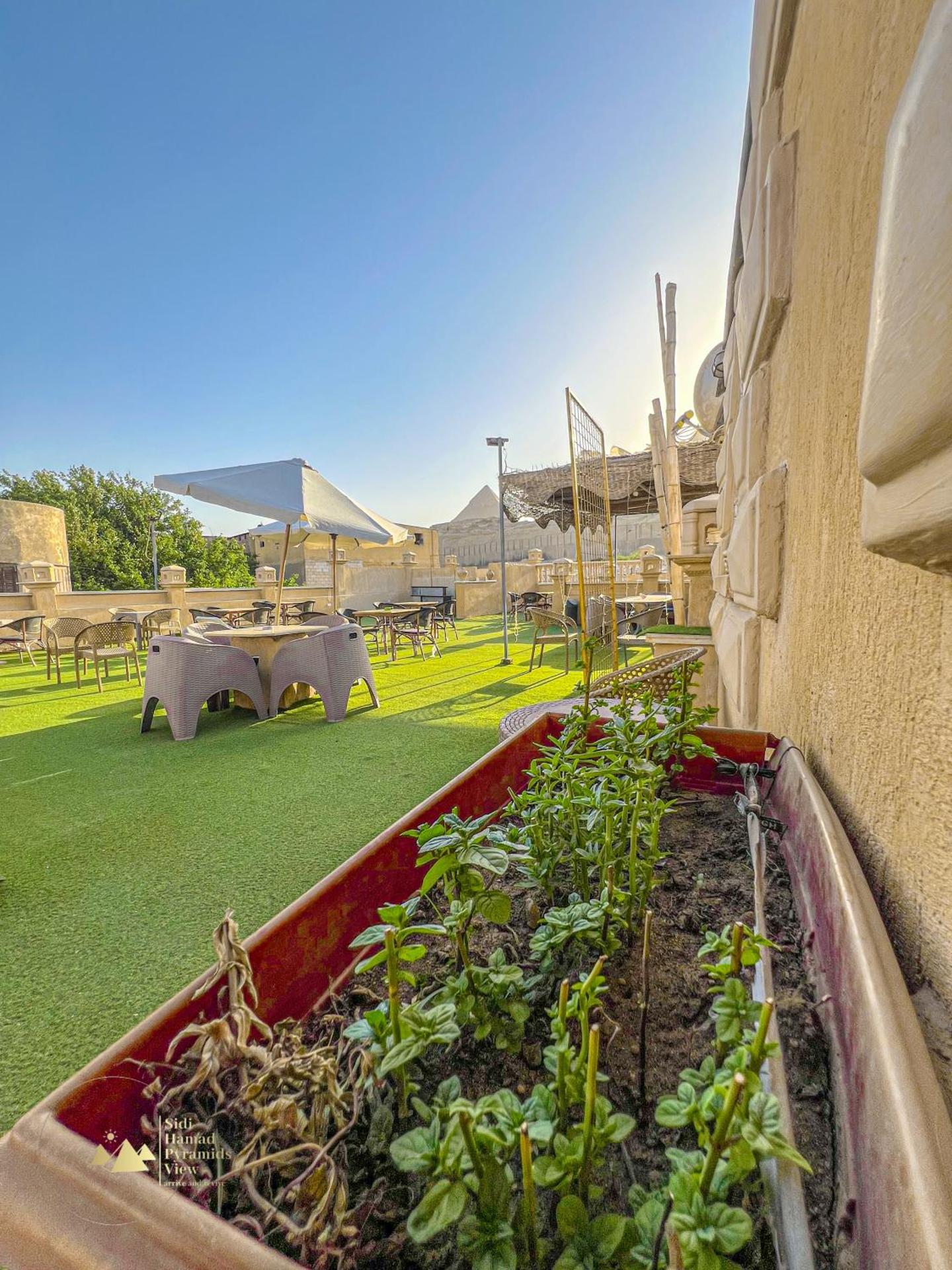 Sidi Hamad Pyramids View King Studio - Photo 8