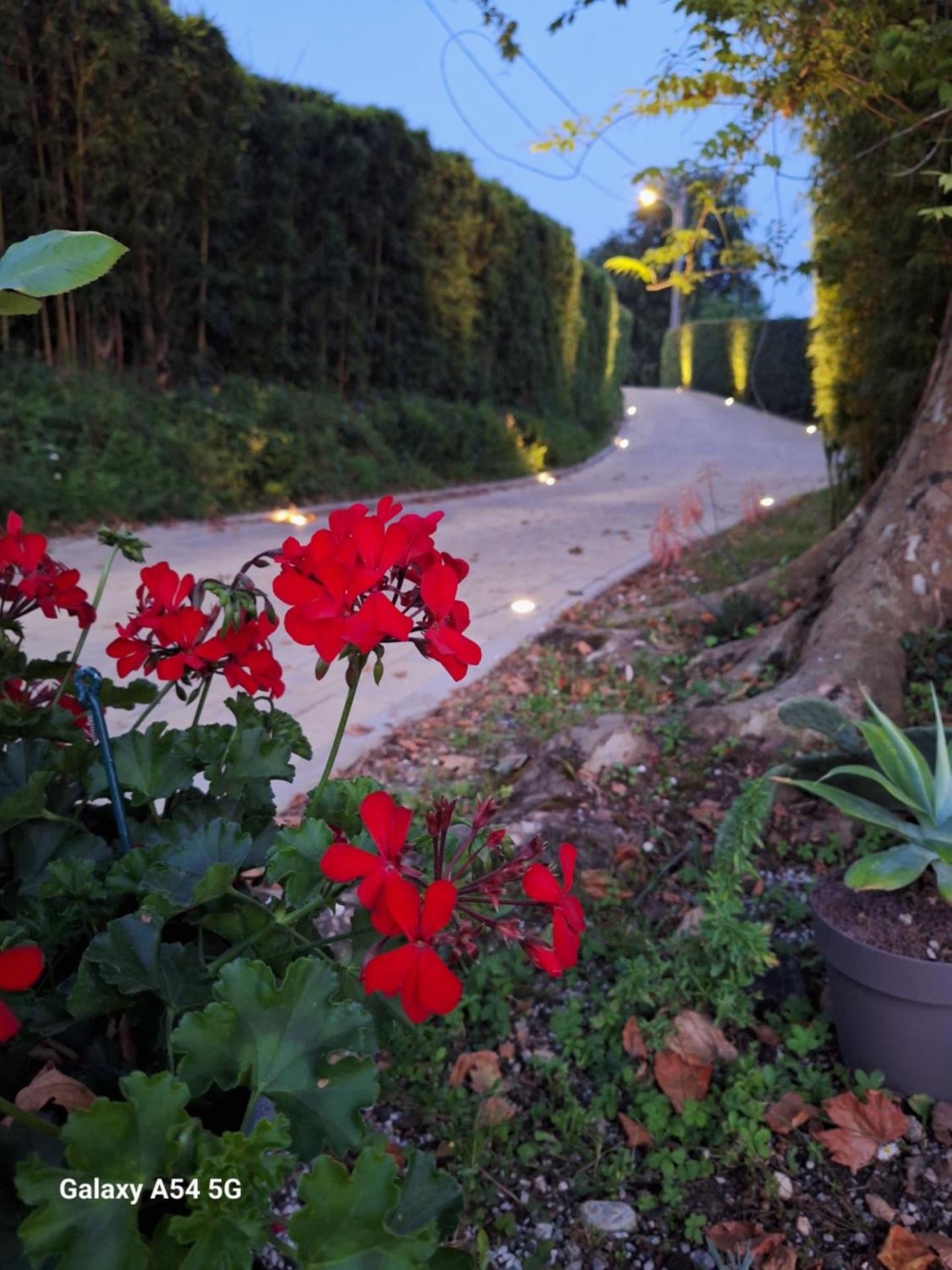 B&B Da Pio - Photo 142