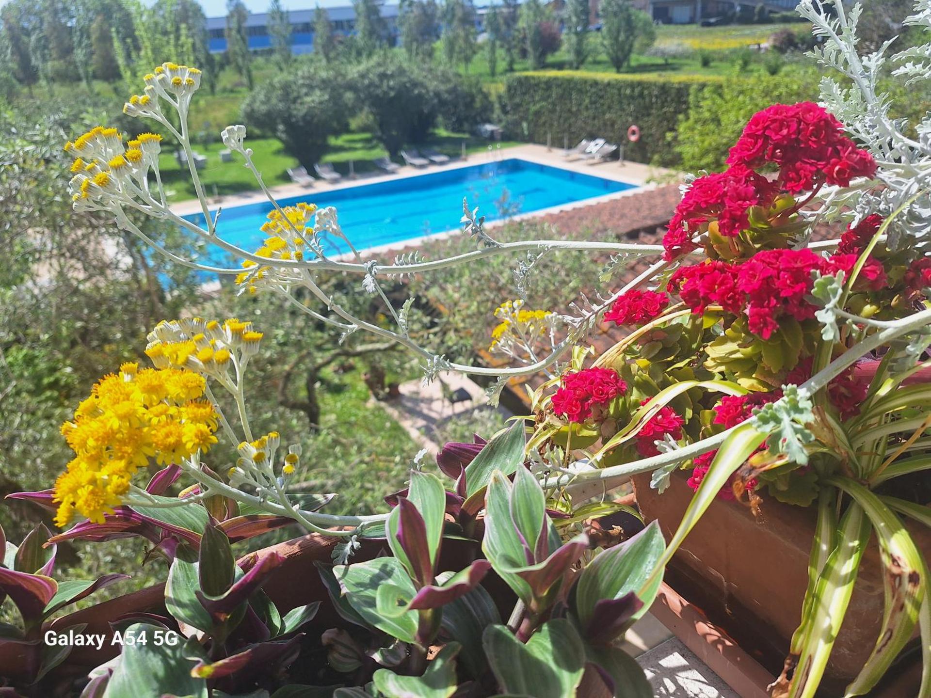 B&B Da Pio - Photo 135