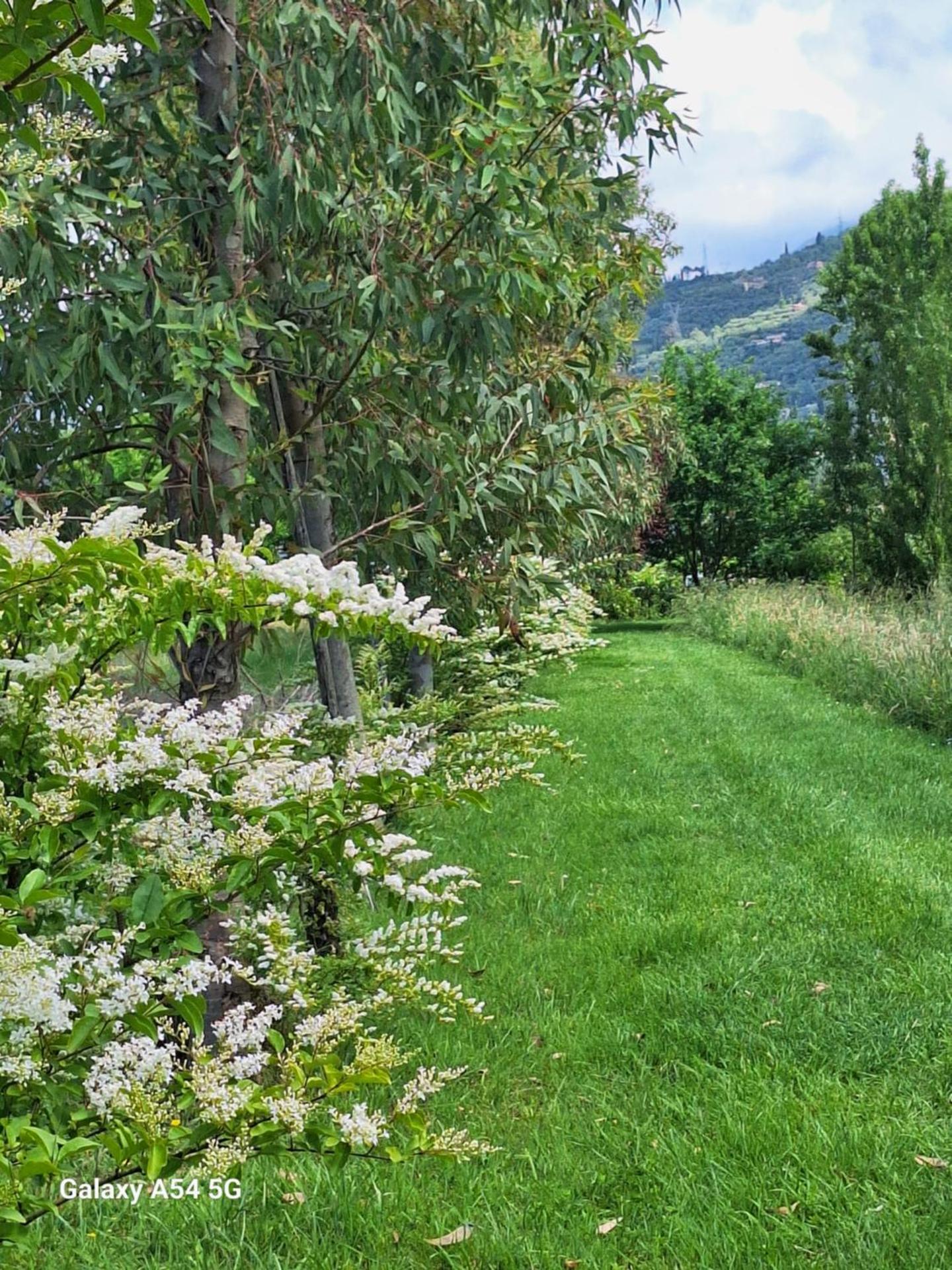 B&B Da Pio - Photo 140