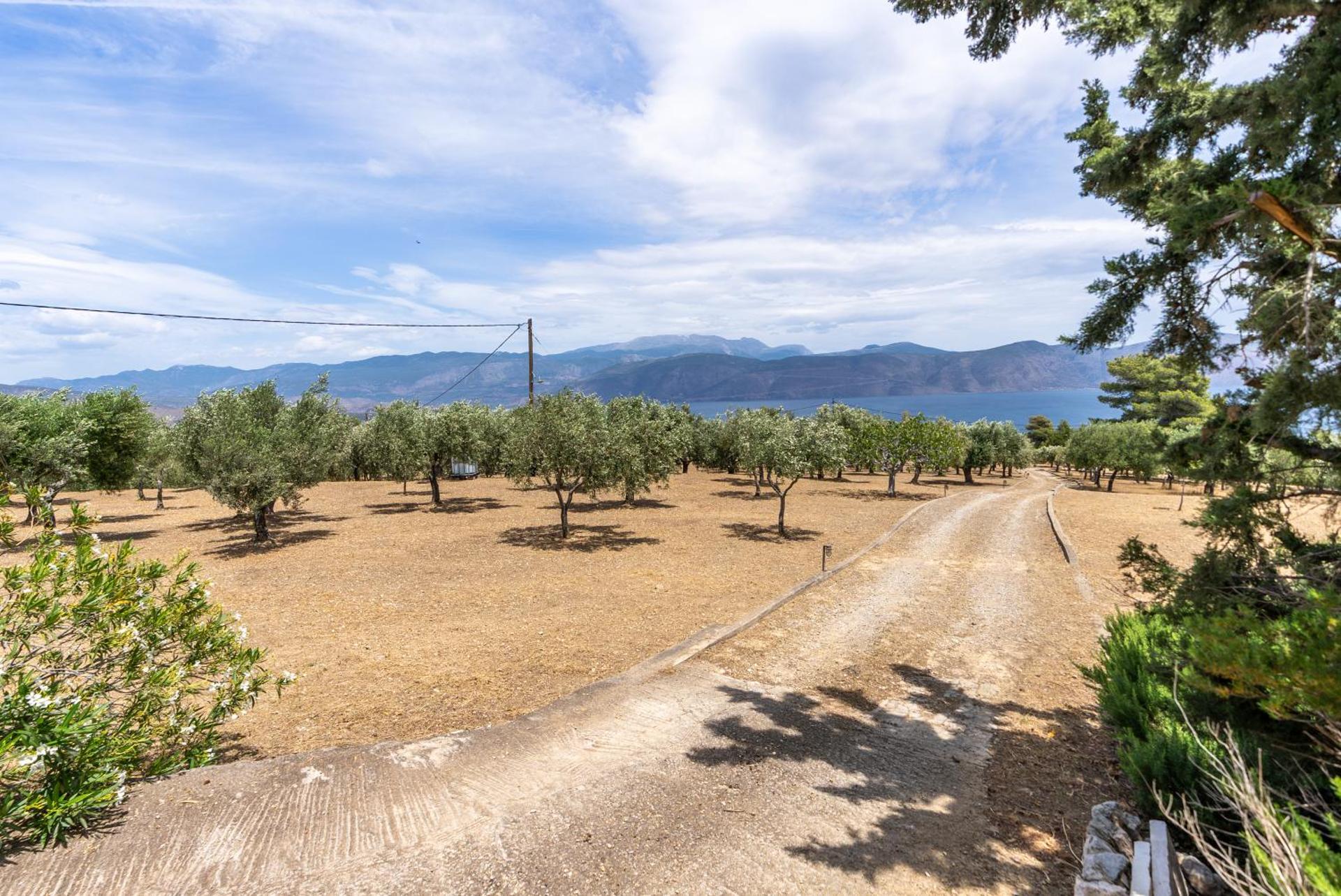 Maistros Studios - Photo 73