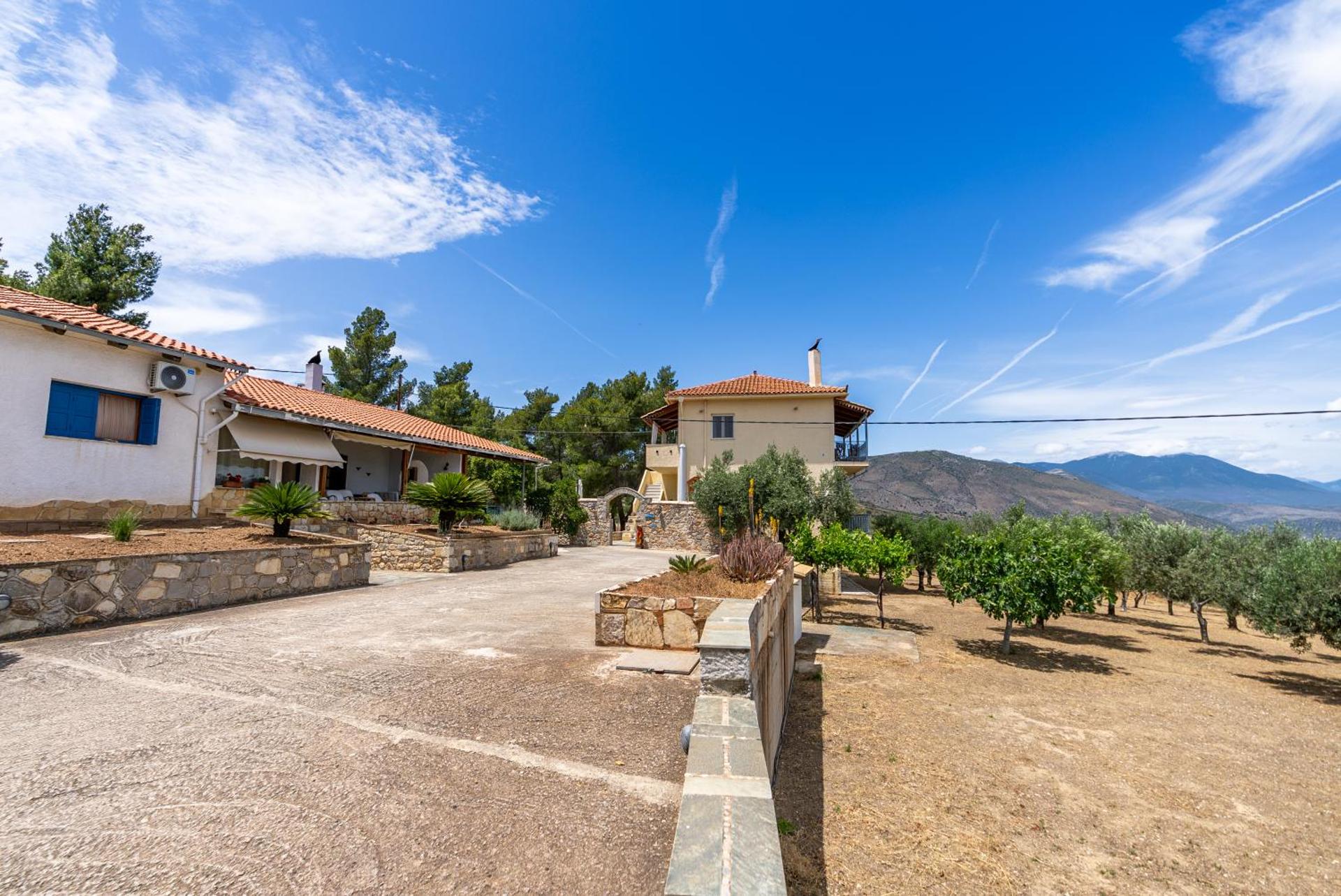 Maistros Studios - Photo 76