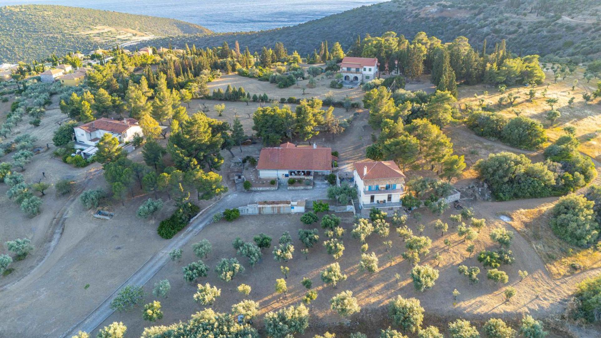 Maistros Studios - Photo 120