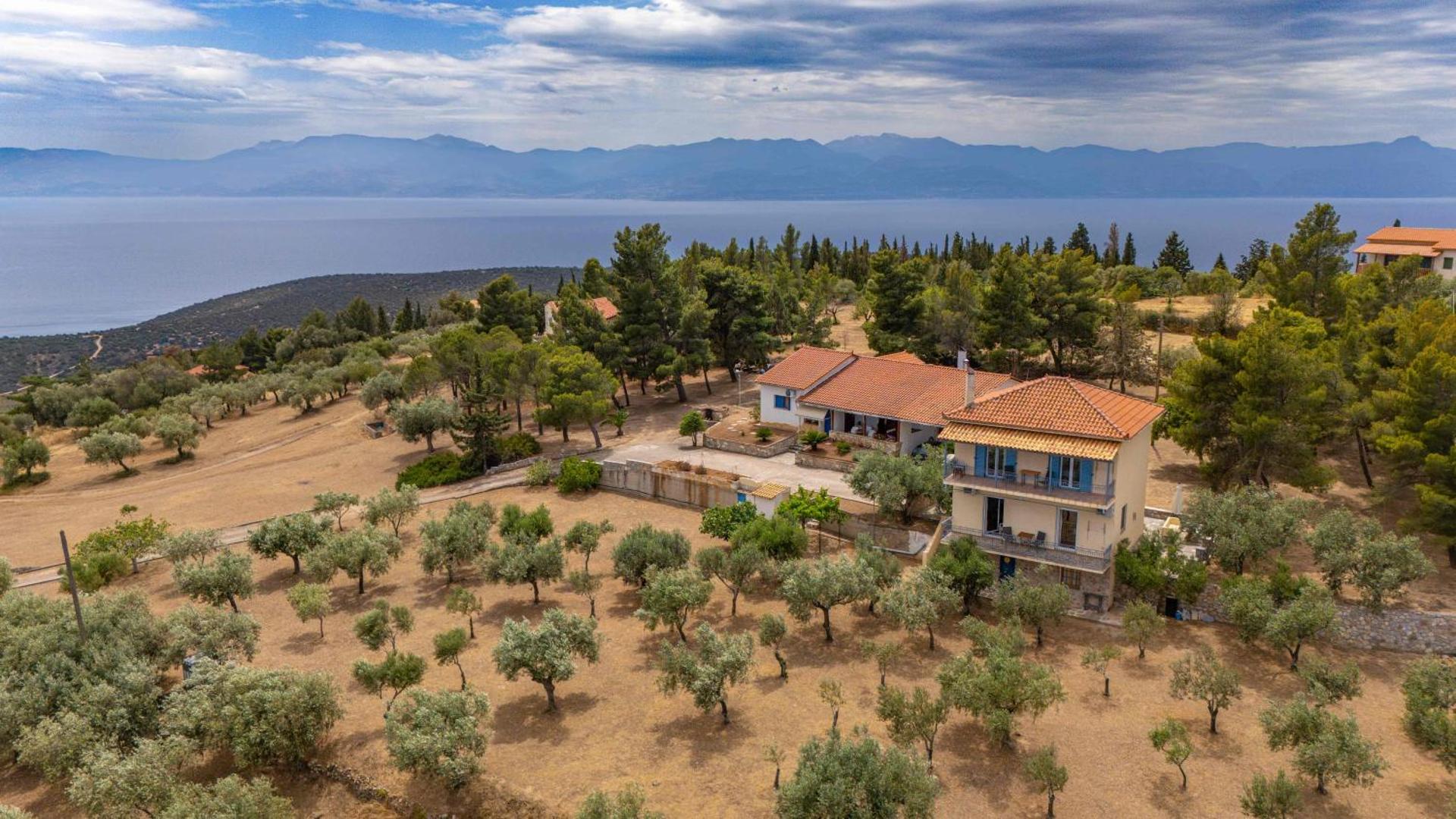 Maistros Studios - Photo 58