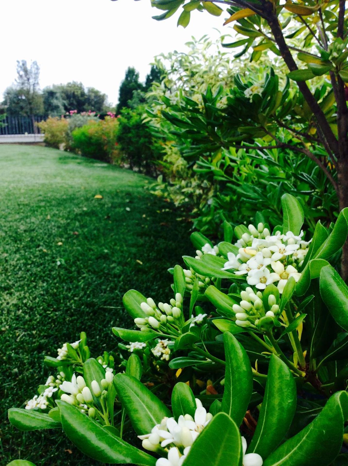 Agriturismo La Torretta - Photo 22