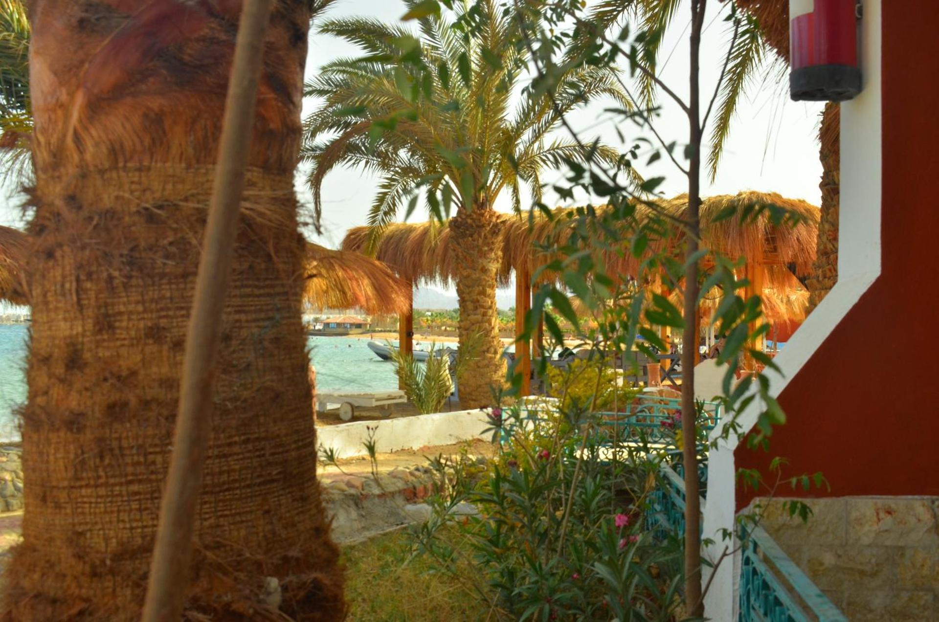 Sun Beach Hotel ABO SOMA - Photo 35