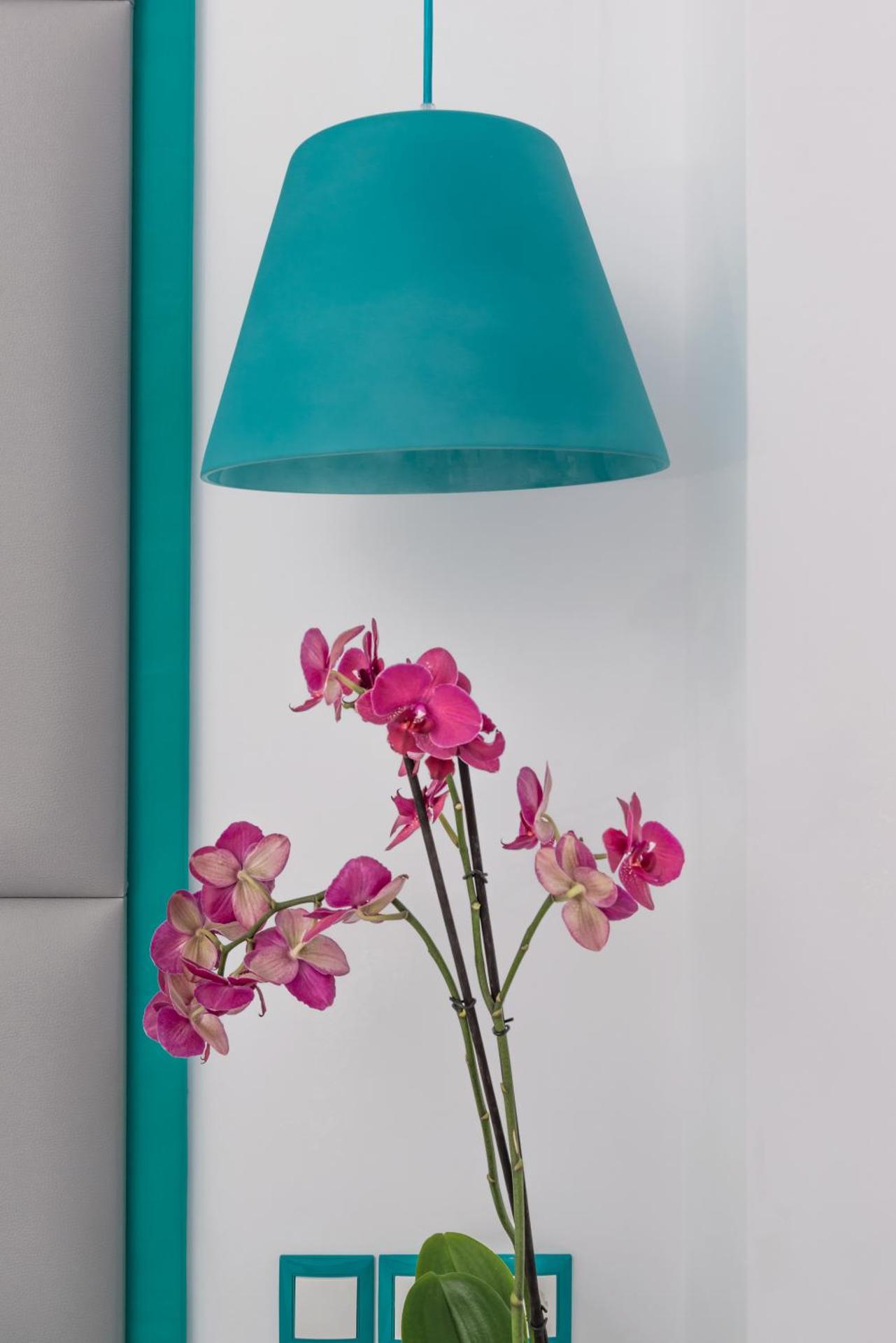 Sweet Pop - Photo 56