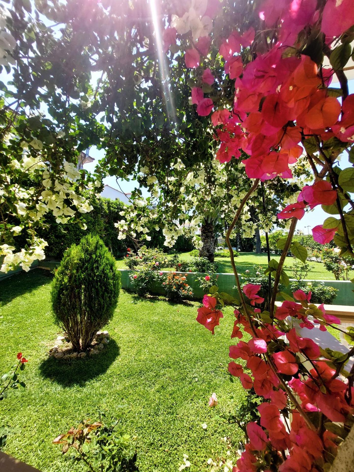 Alexia Apartments & Studios - Photo 21