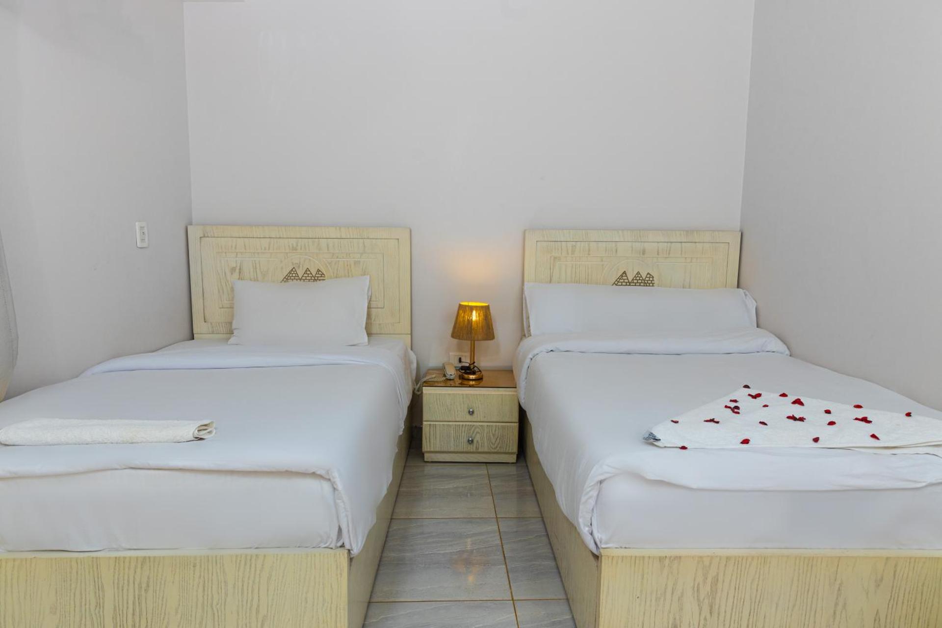 Pyramids Land View - Photo 17