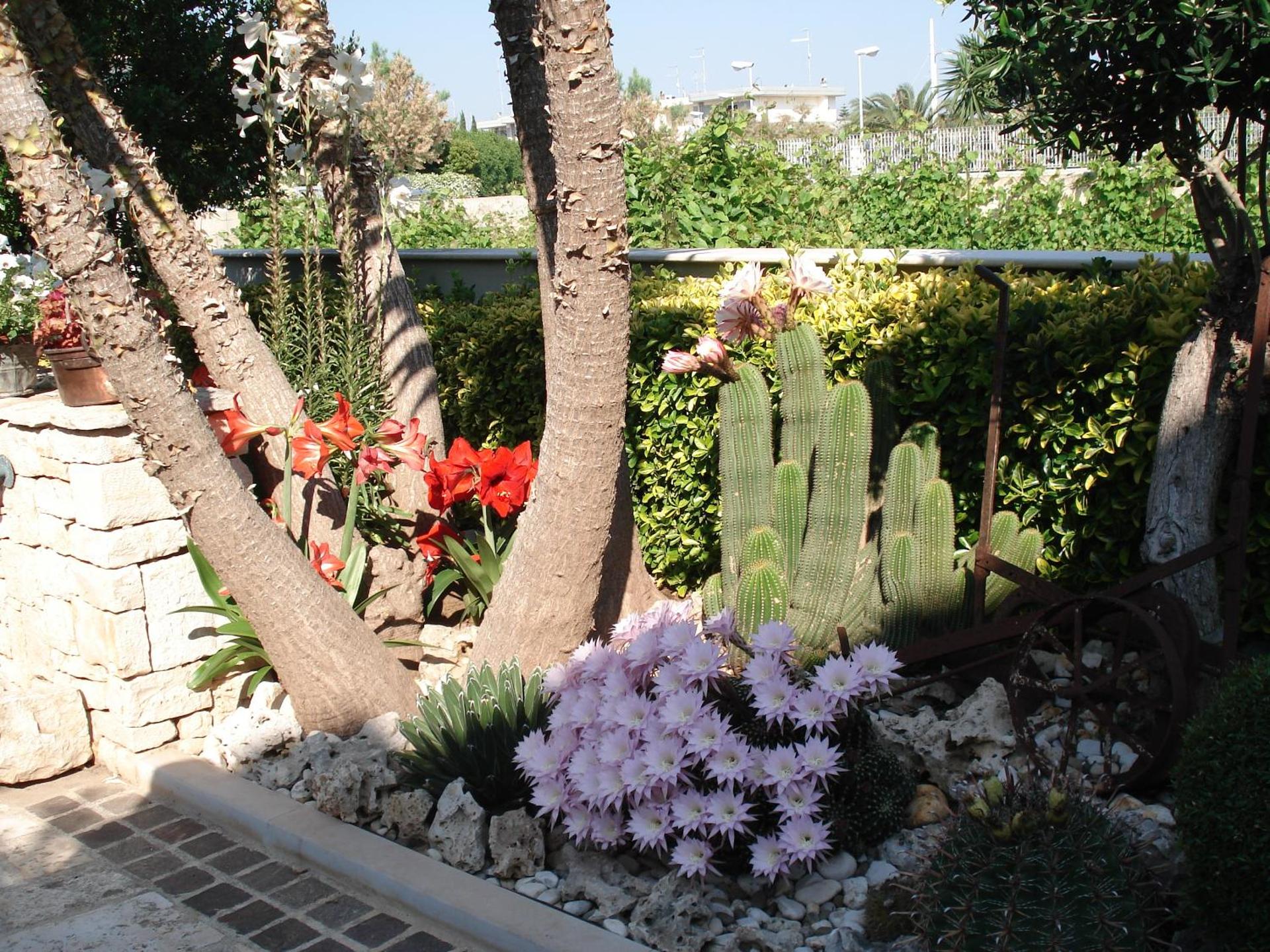 B&B La Rosa Blu - Photo 114