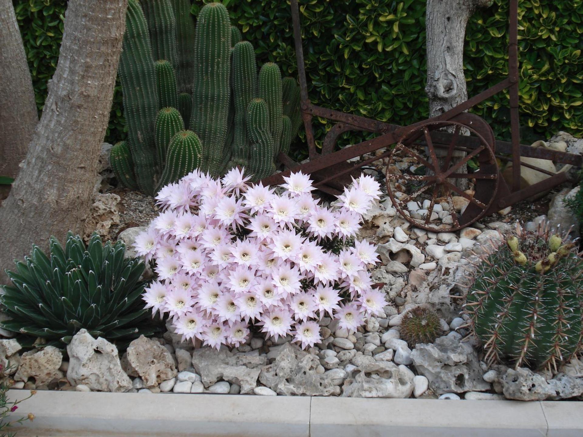 B&B La Rosa Blu - Photo 117