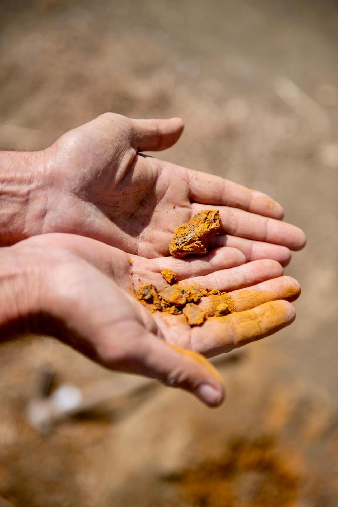 Dar Meziana - Photo 53