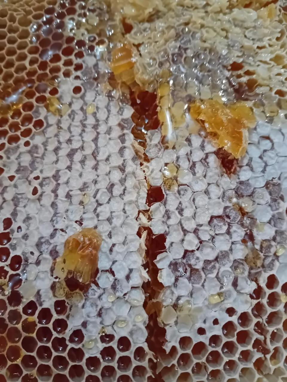 Wooden Villas Karme - Photo 6