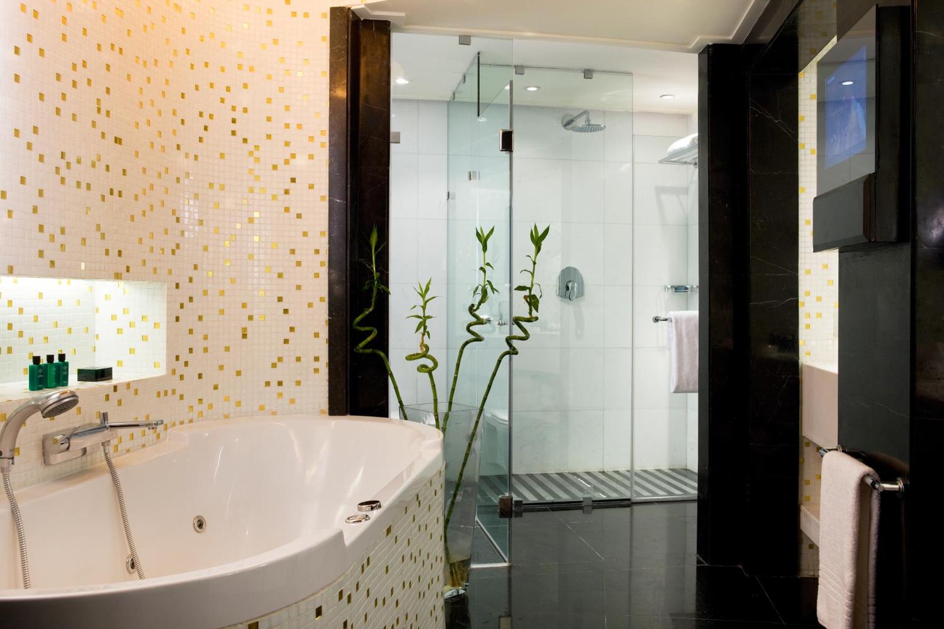 Sofitel Cairo Nile El Gezirah - Photo 62