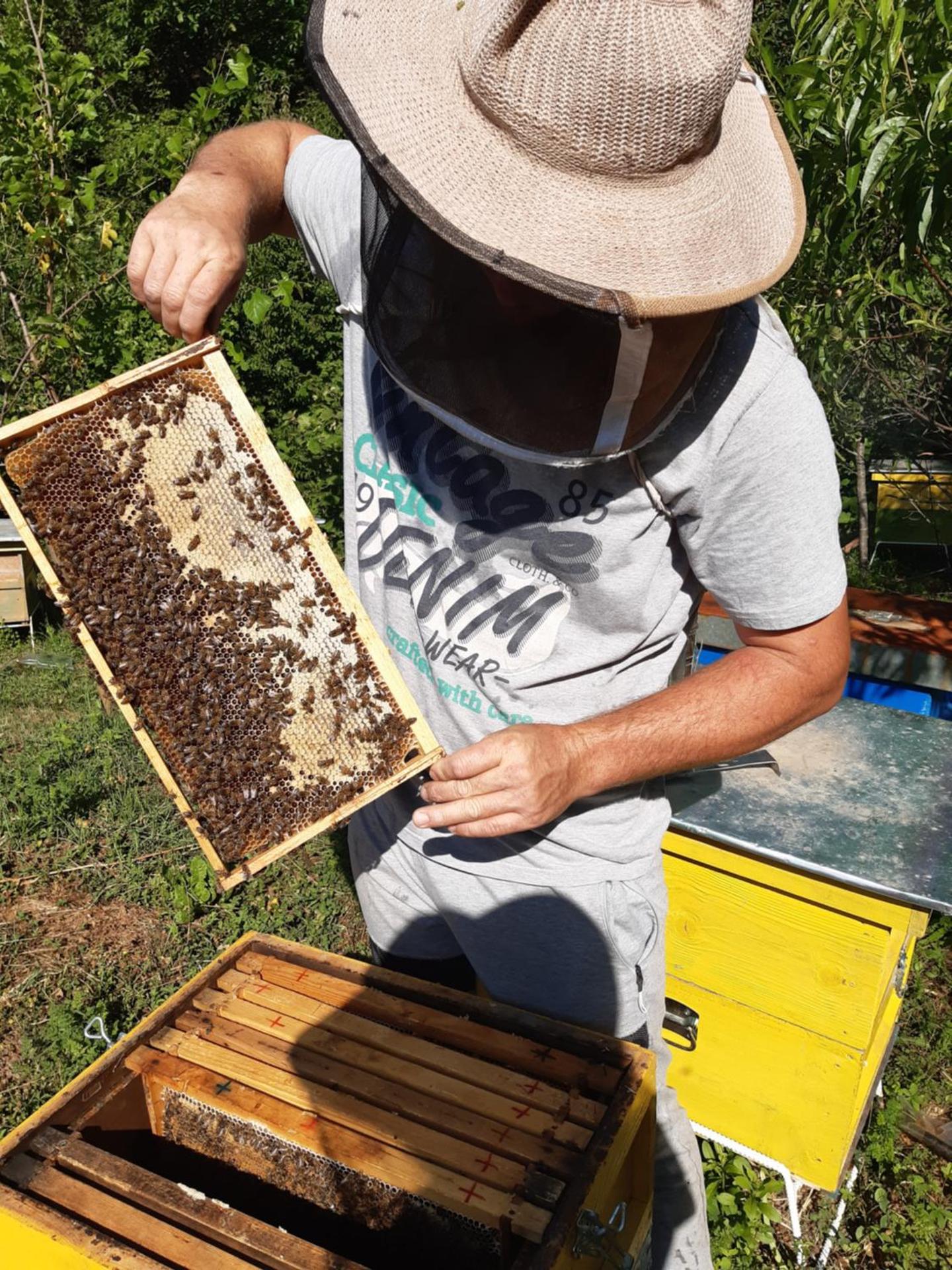 Wooden Villas Karme - Photo 19