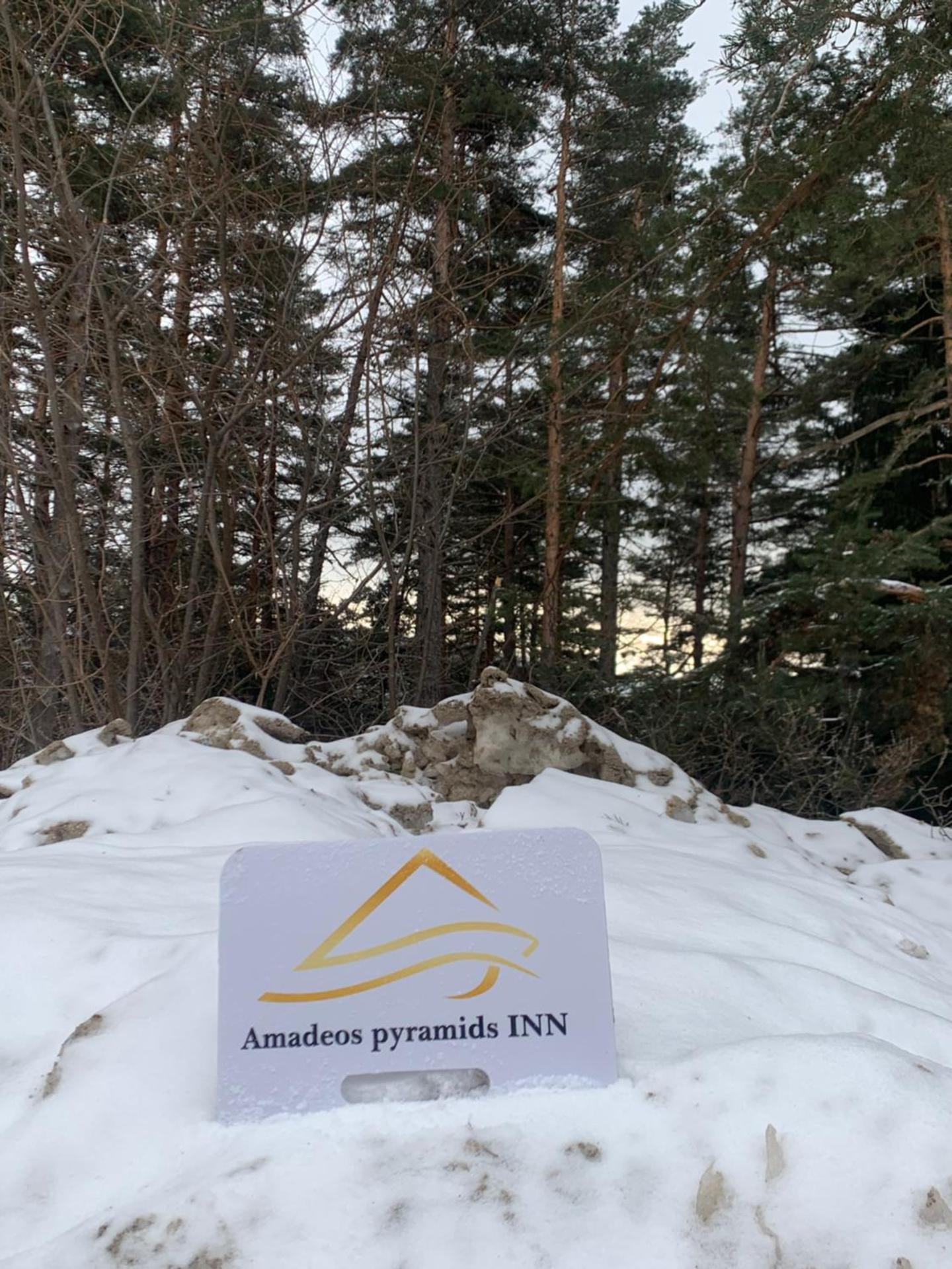 AMADEOS pyramids inn - Photo 148