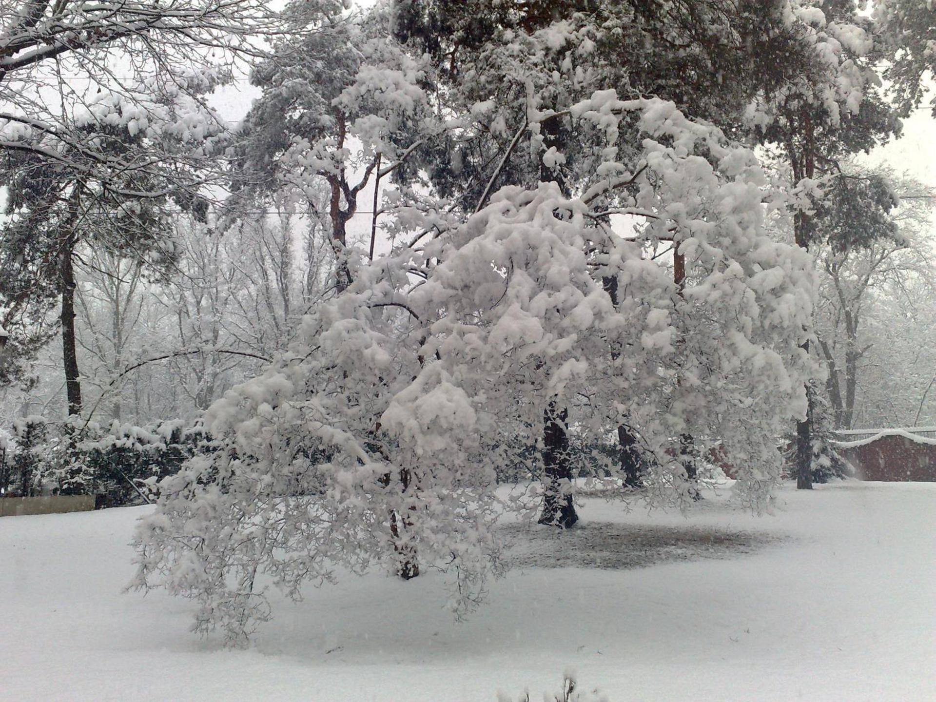 Bed&Garden - Photo 34