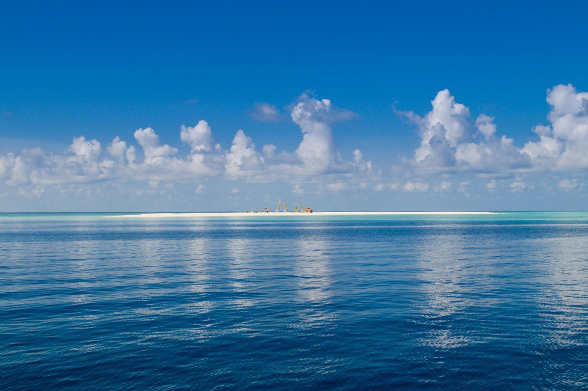 The Beehive - Photo 80