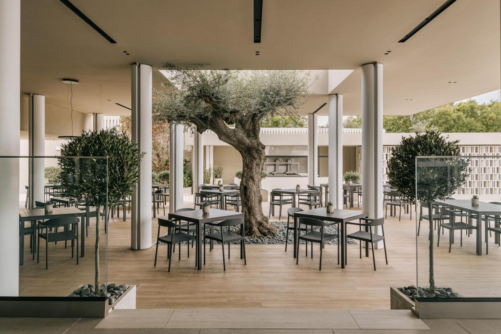 Divani Apollon Palace & Thalasso - Photo 68