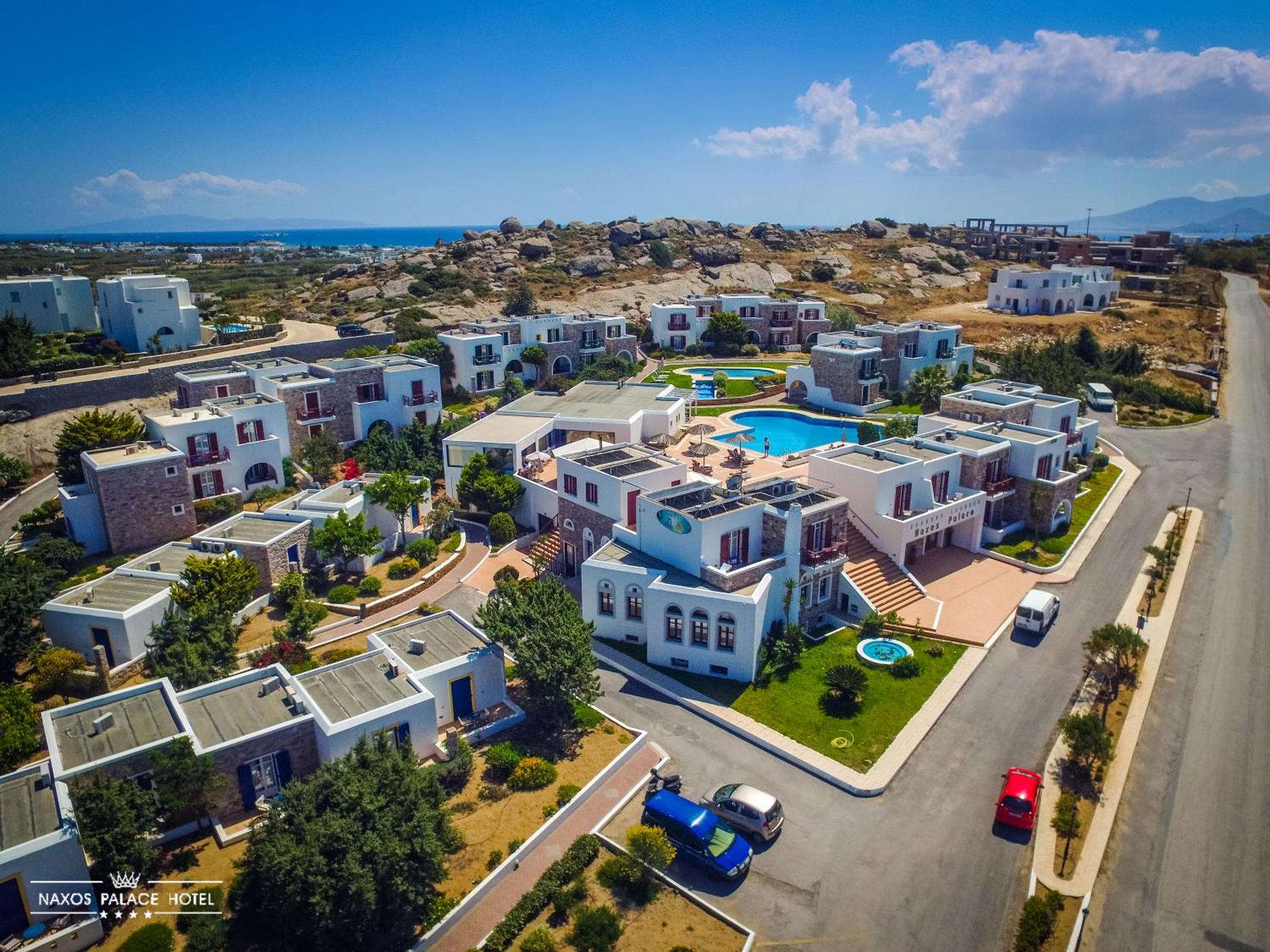 Naxos Palace Hotel - Photo 50