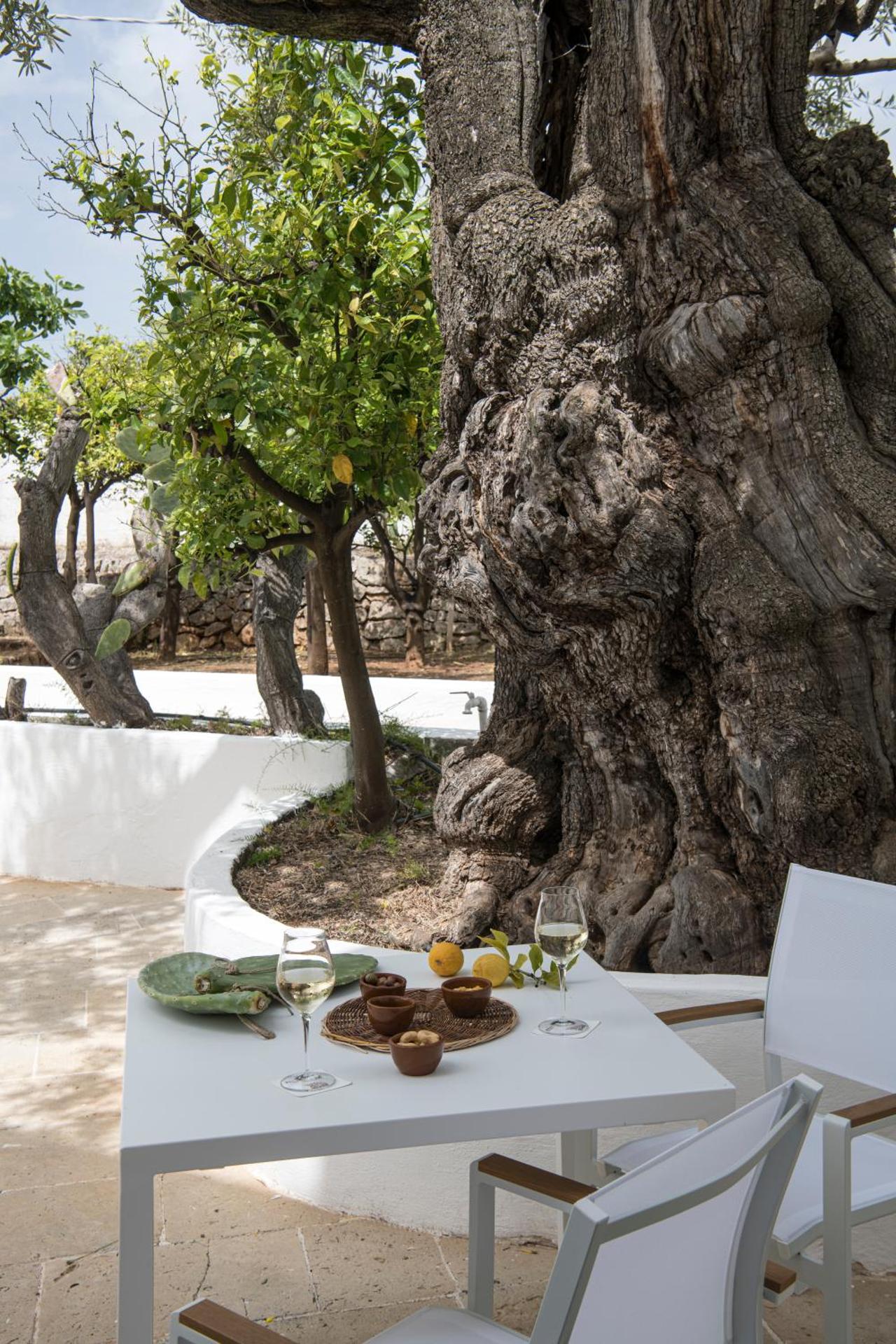 Masseria Il Melograno - Photo 45