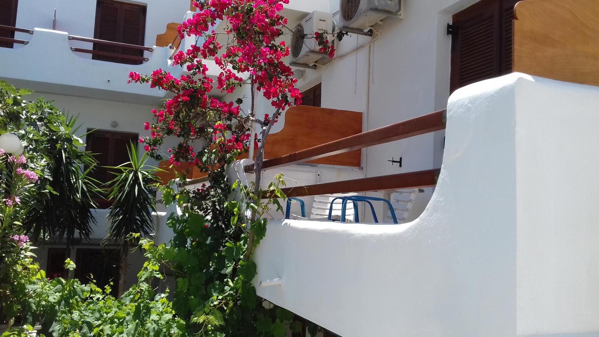 Maistrali - Photo 87