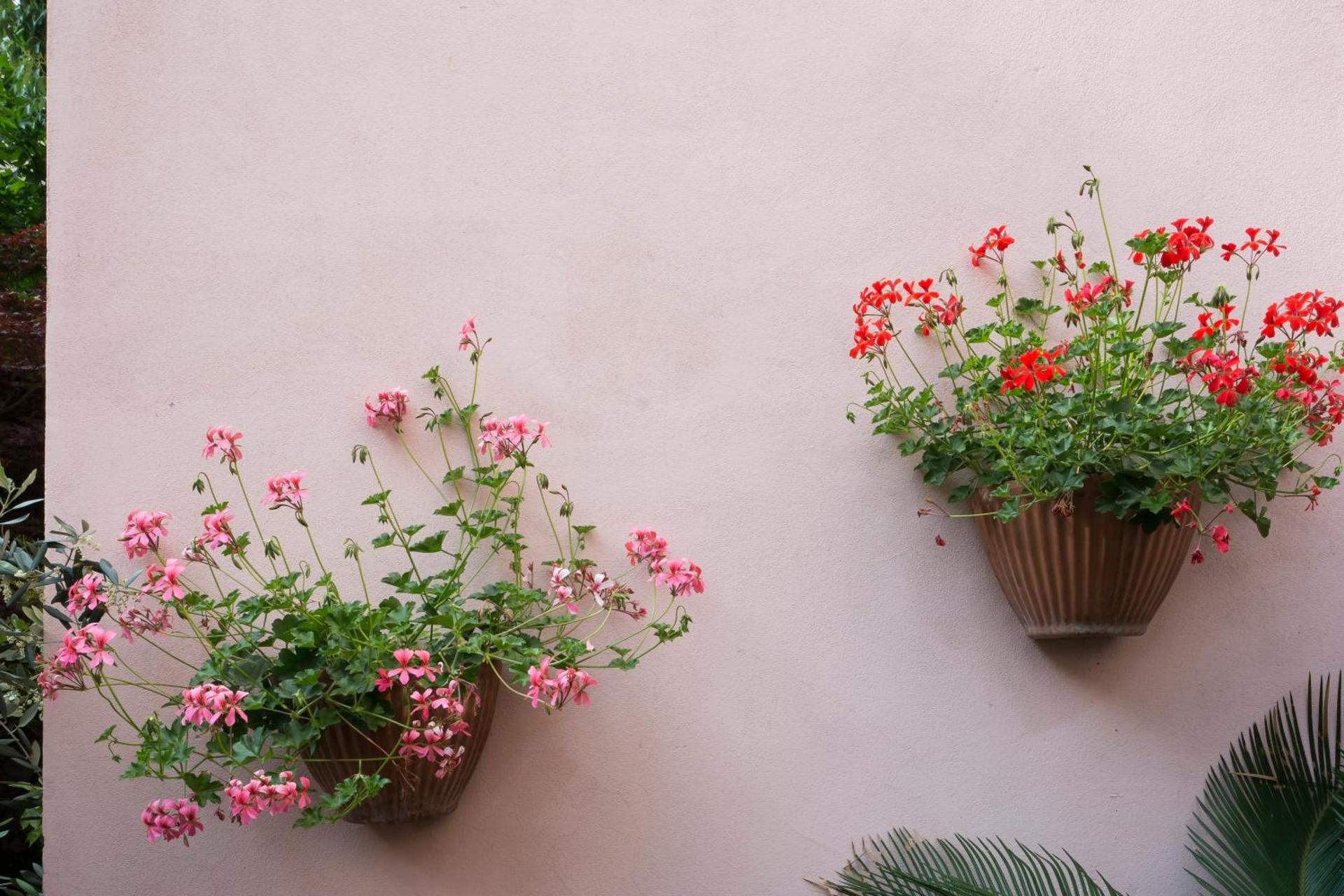 Hotel Vittoria - Photo 82