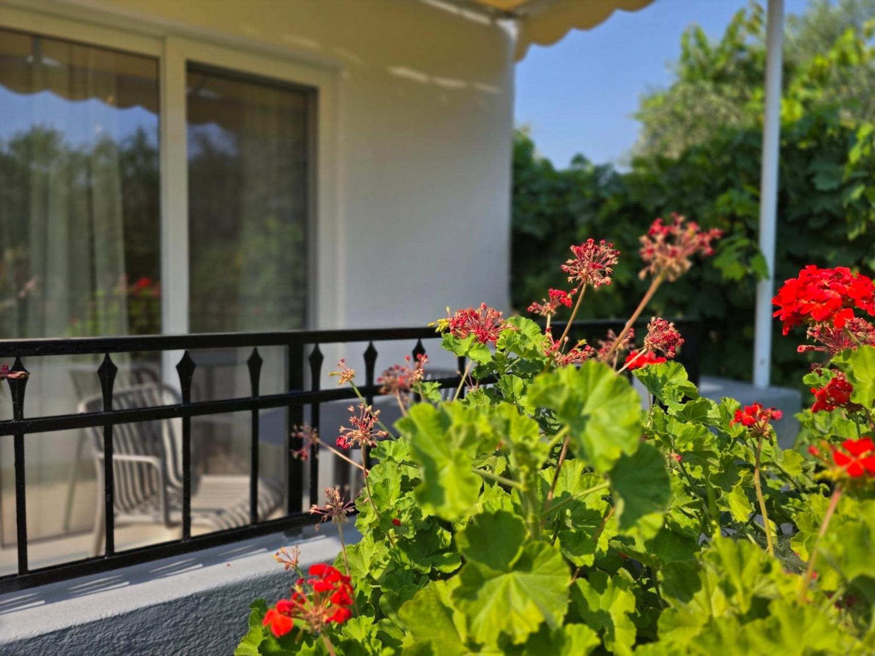 Pension Zoi - Photo 6