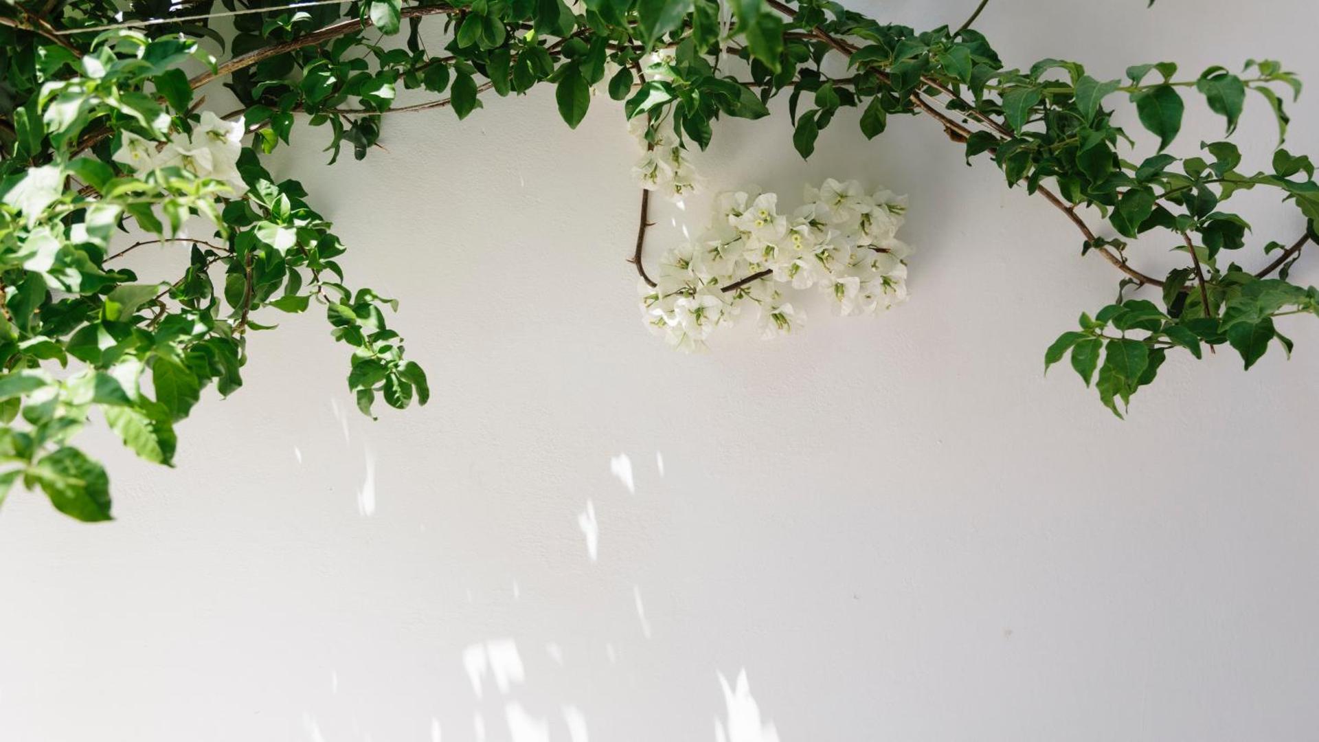 Dimitra Boutique Hotel - Photo 5