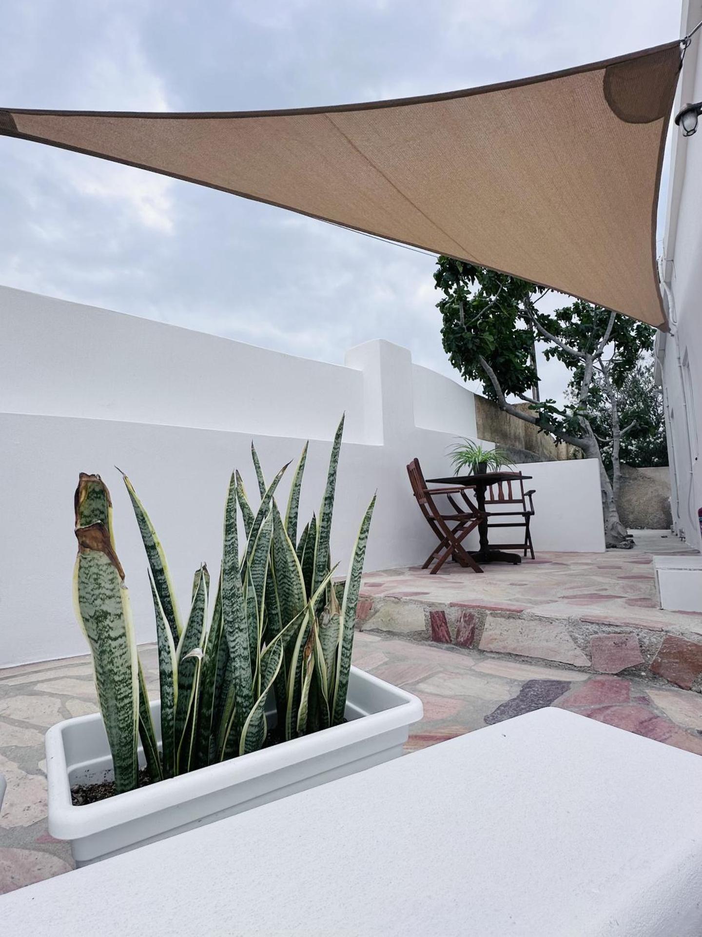 Arlene Suites - Photo 126