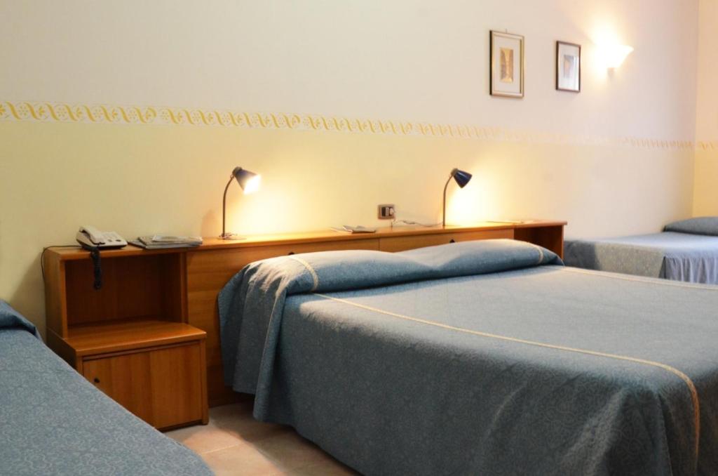 Hotel Serena - Photo 42