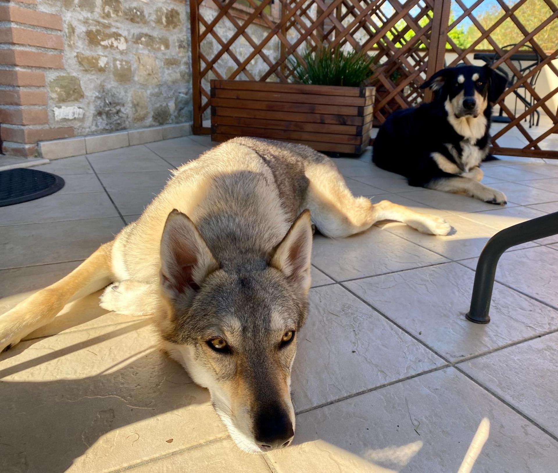 Domus Laetitiae Santa Croce - Photo 43