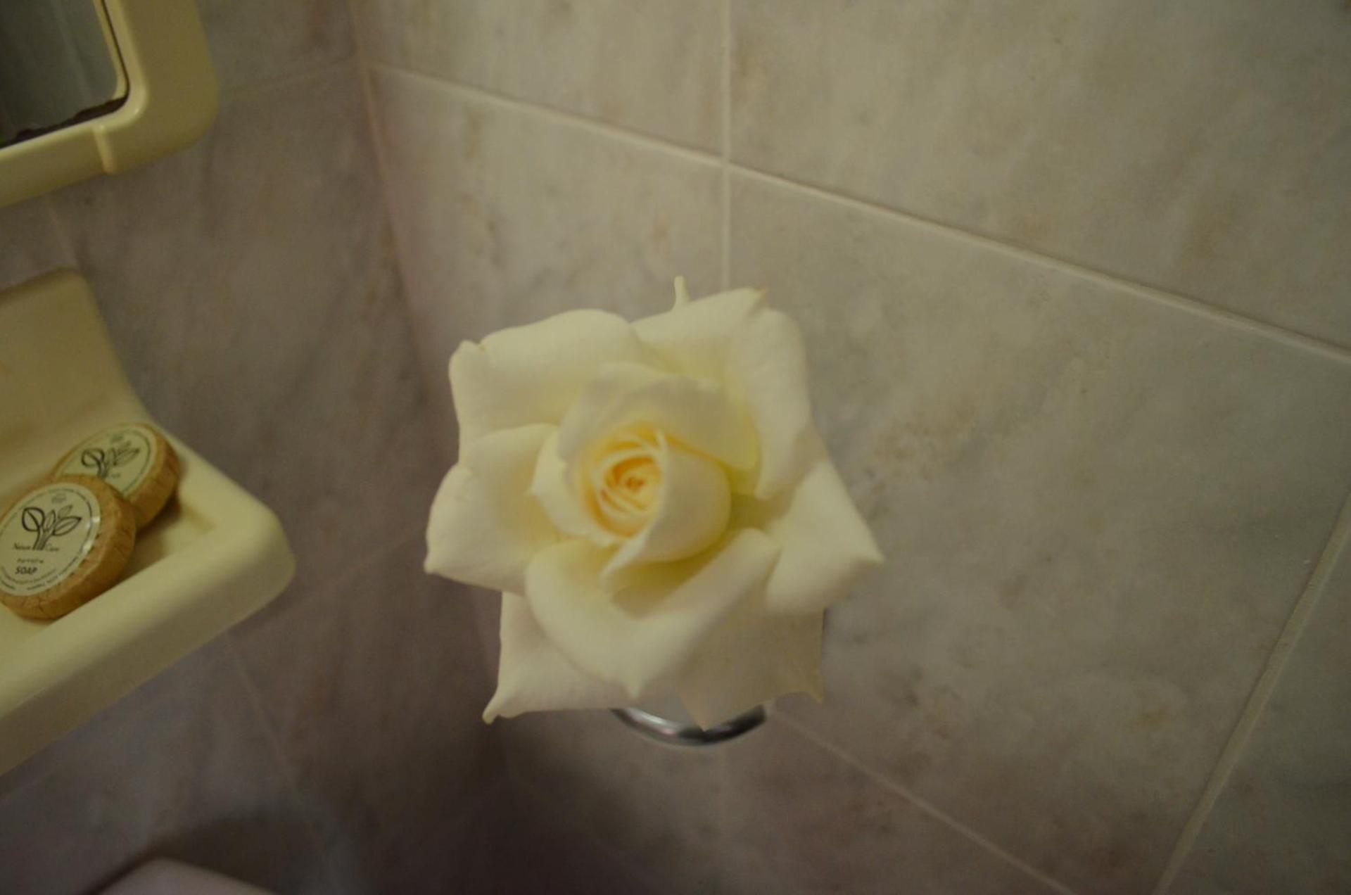 Kremasti Memories - Photo 41