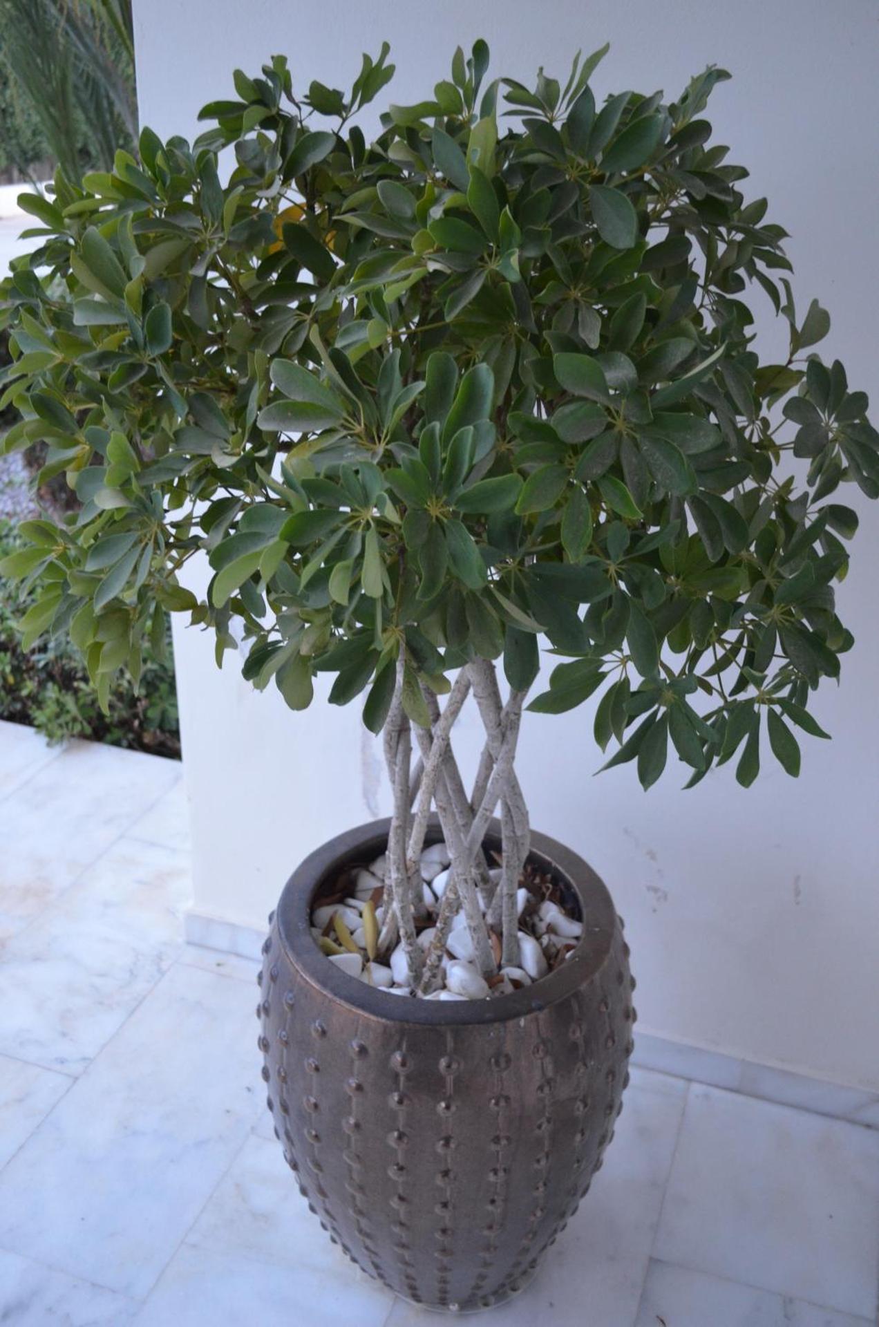 Kremasti Memories - Photo 23