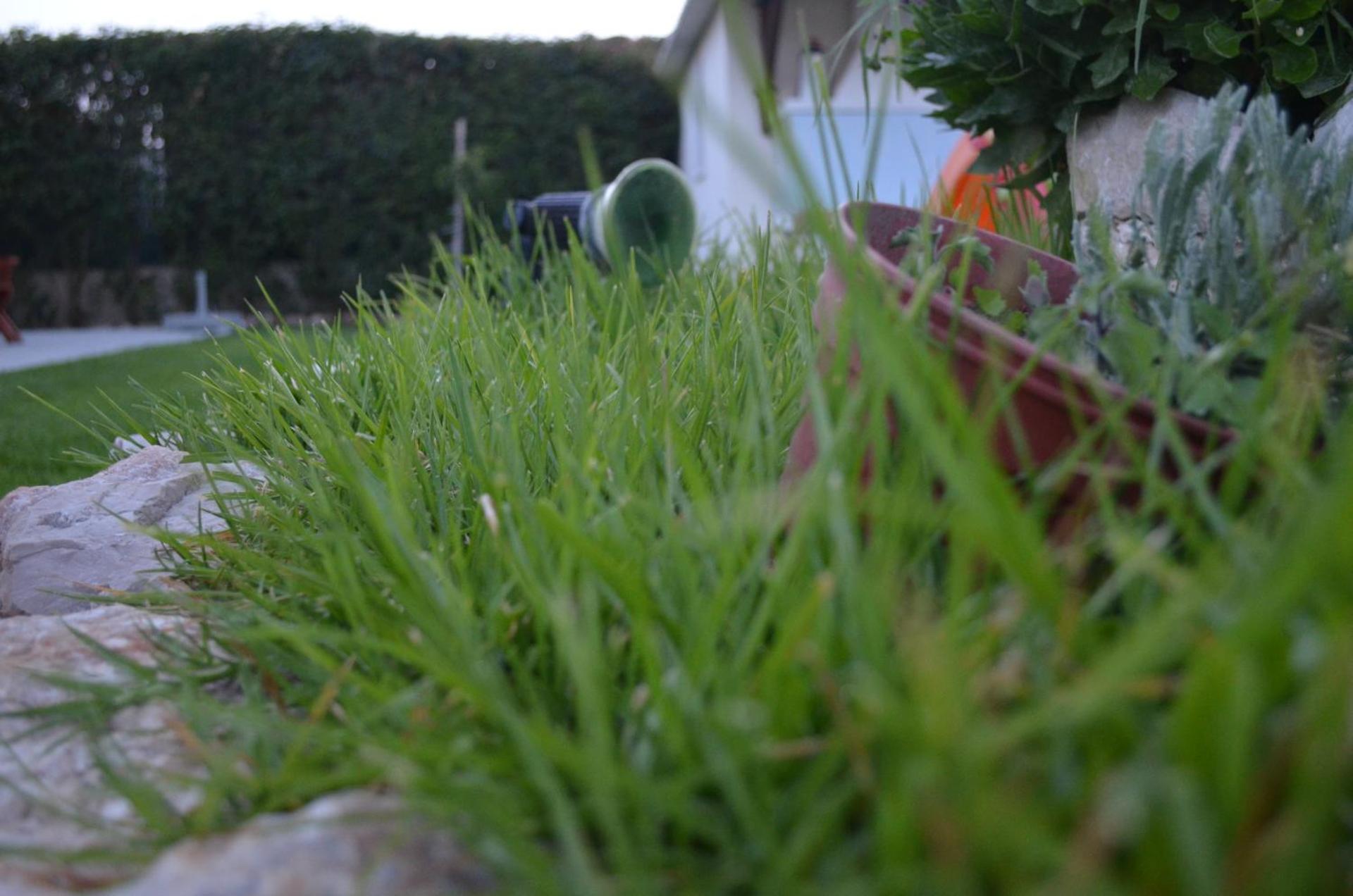 Kremasti Memories - Photo 24