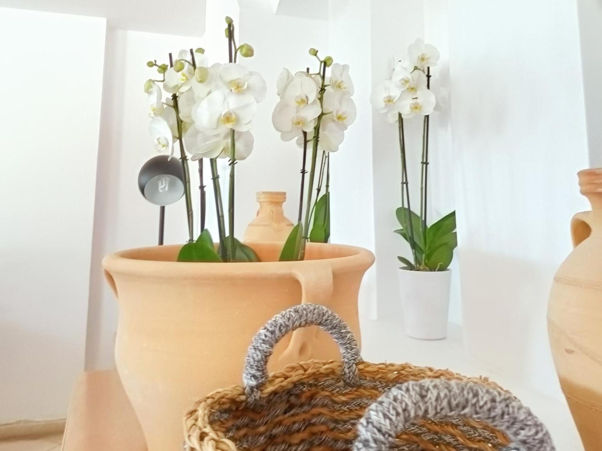 Grecotel Casa Paradiso - Photo 112