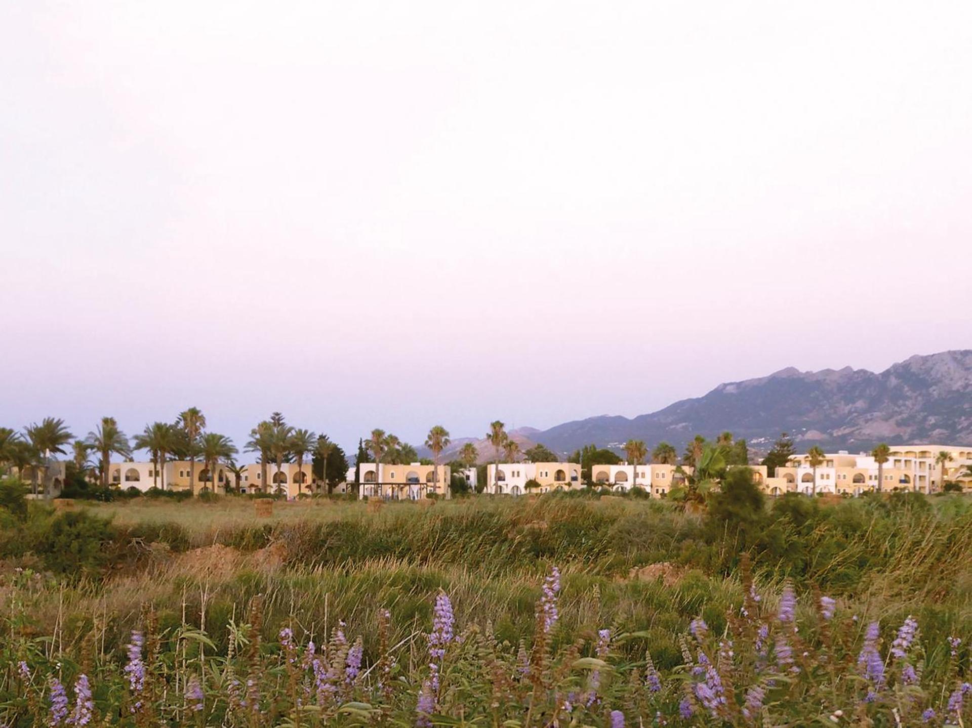 Grecotel Casa Paradiso - Photo 19