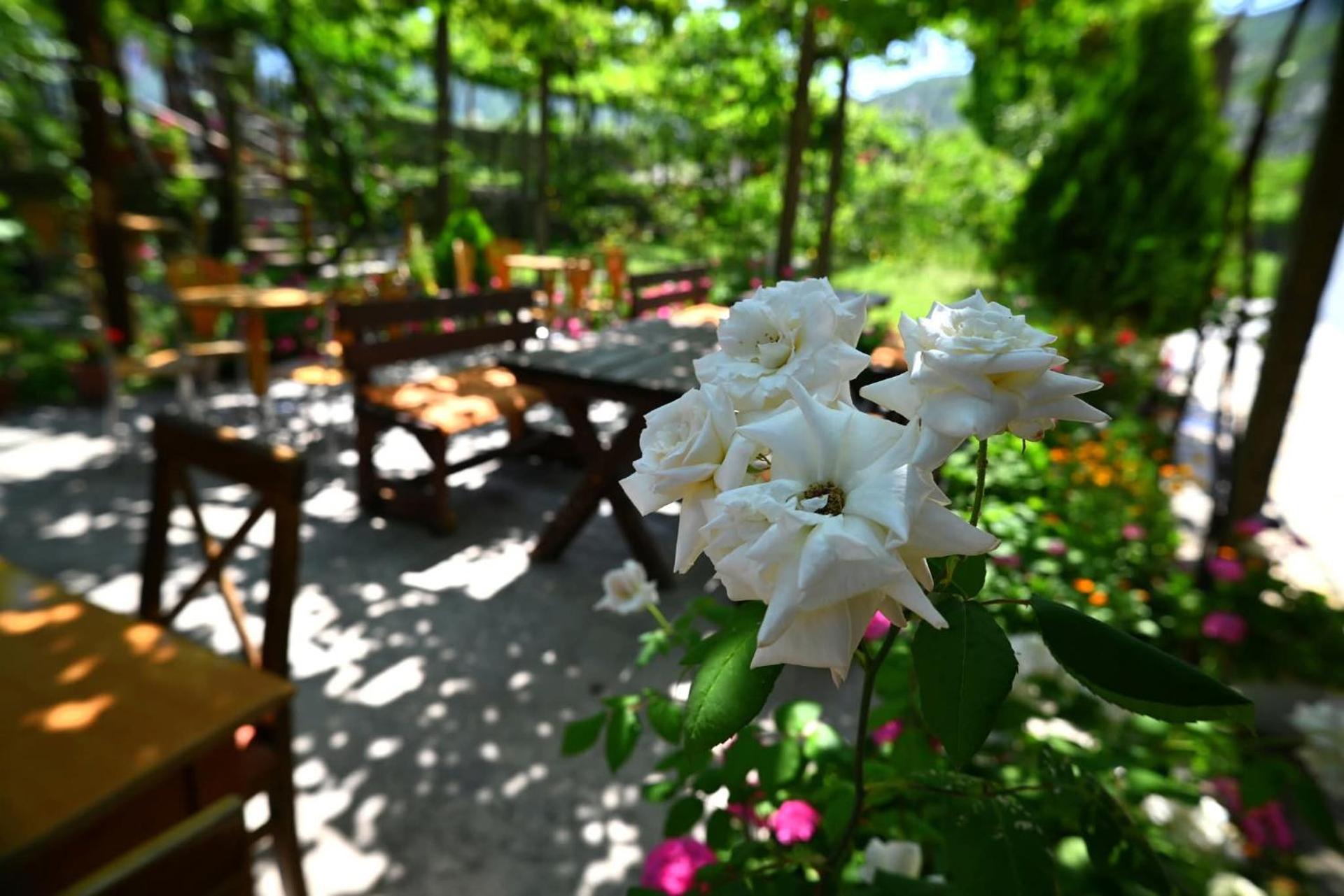 Kulla e Vjeter (Bar Restaurant, Guesthouse, Parking and Camping) - Photo 13