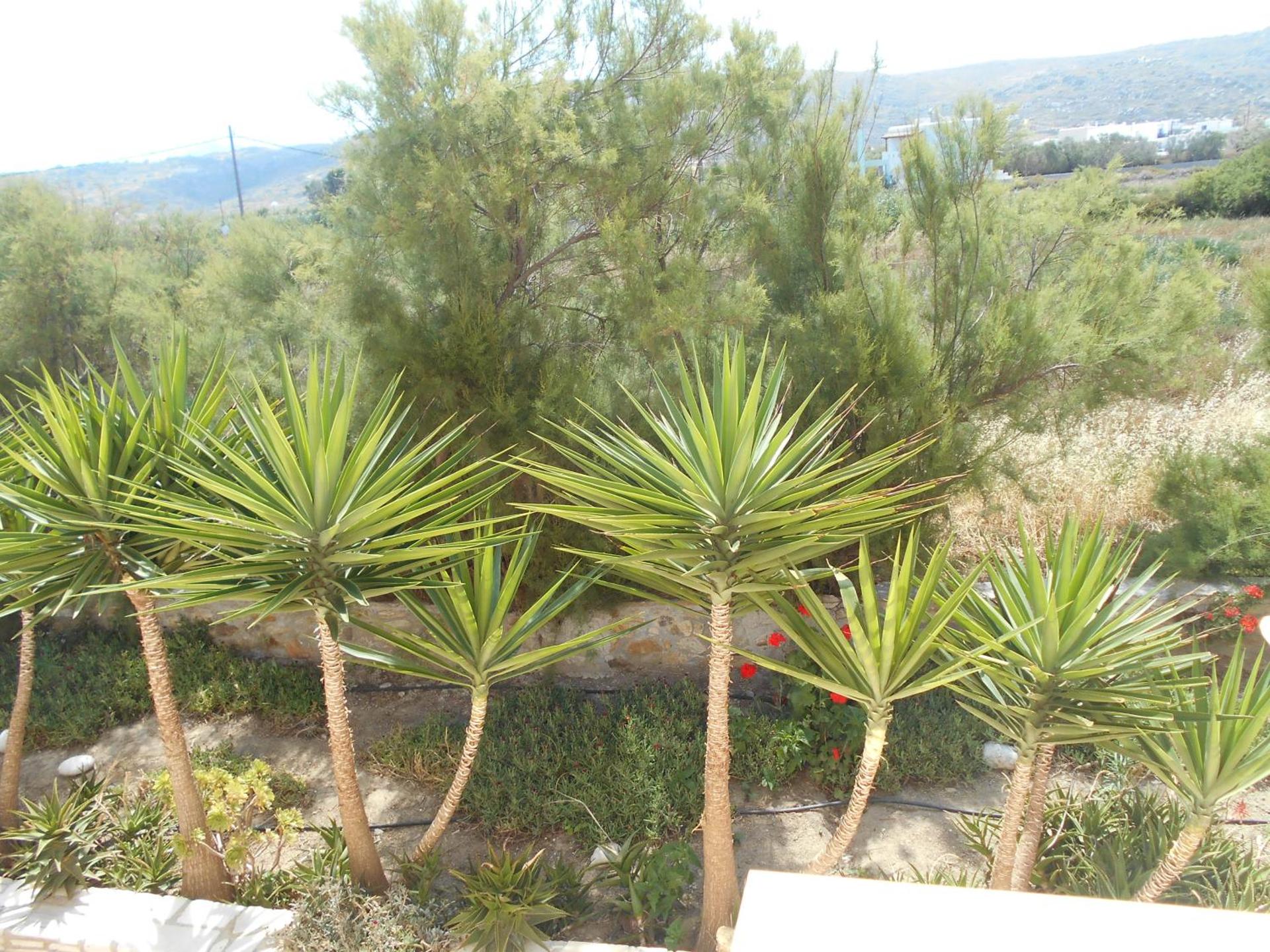 Acti Plaka Hotel - Photo 80