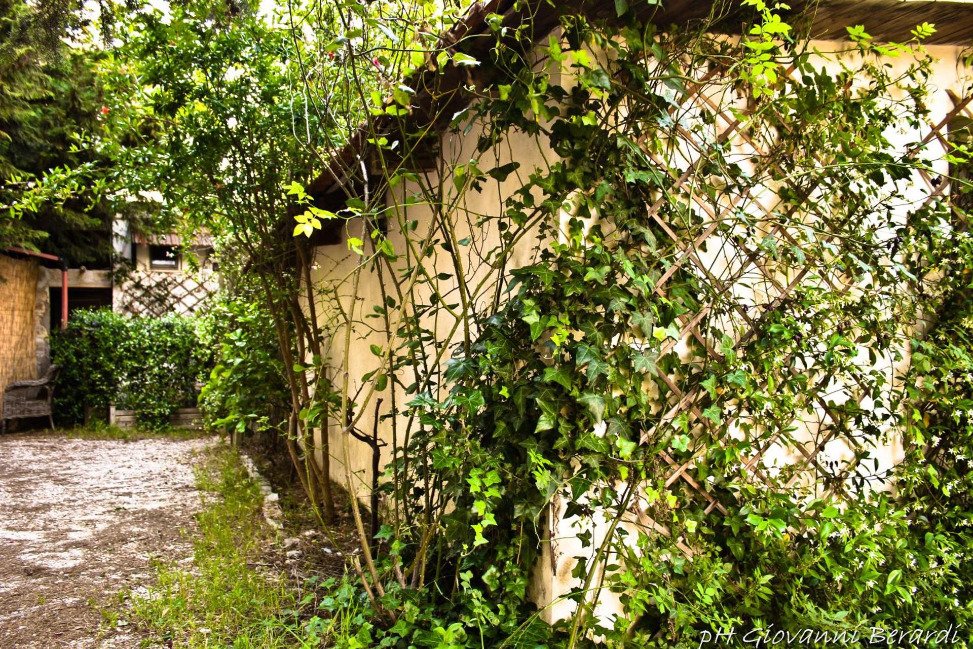 Albarosa - Photo 37