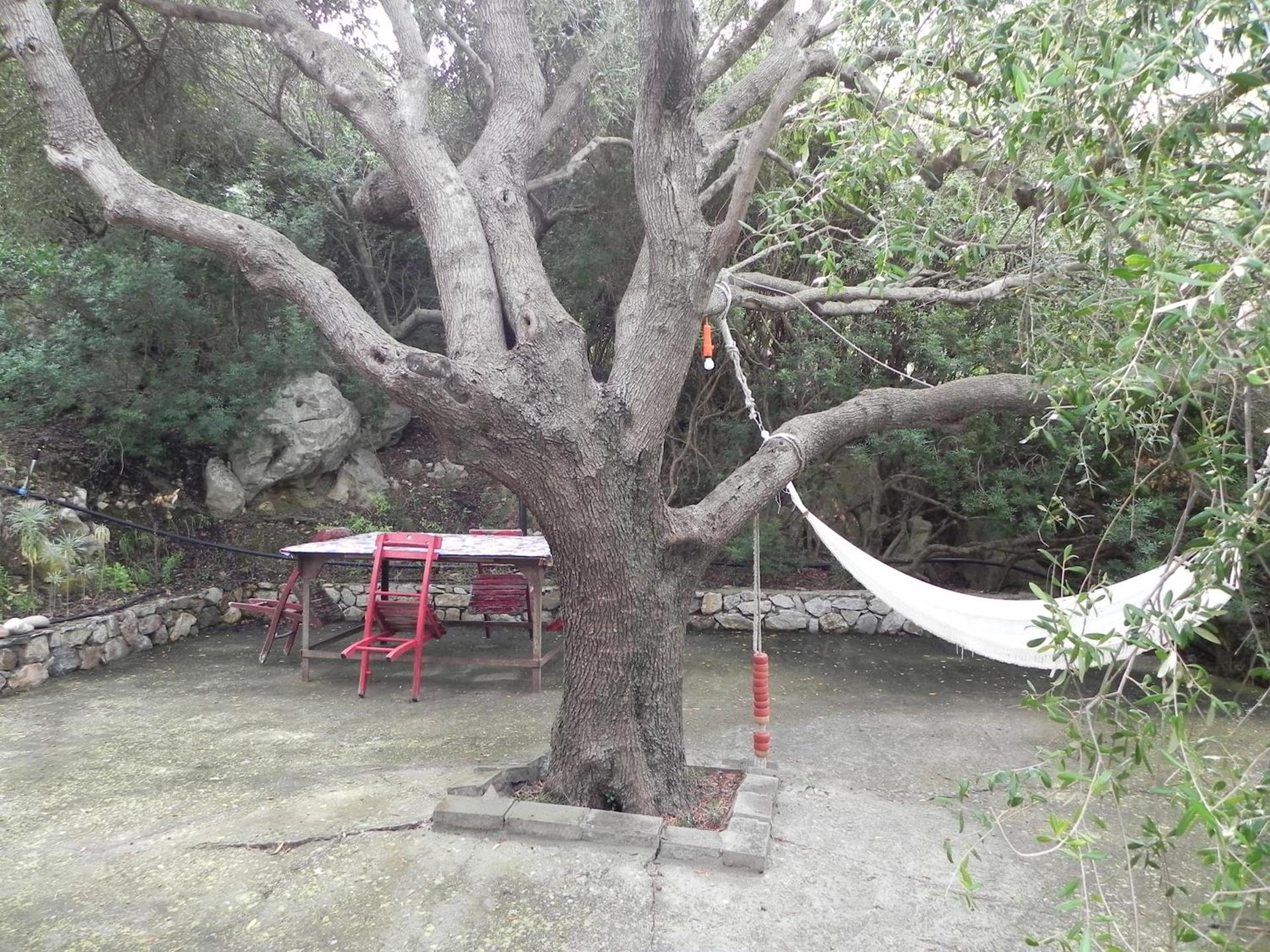 B&B S'Archiotta - Photo 14