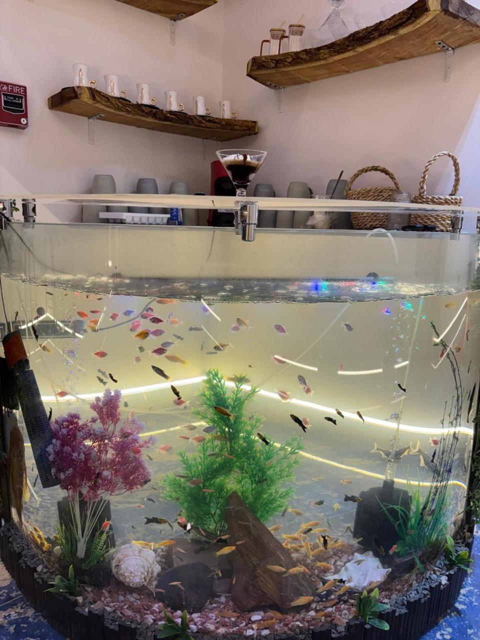 Gold Palace Hotel - Photo 169