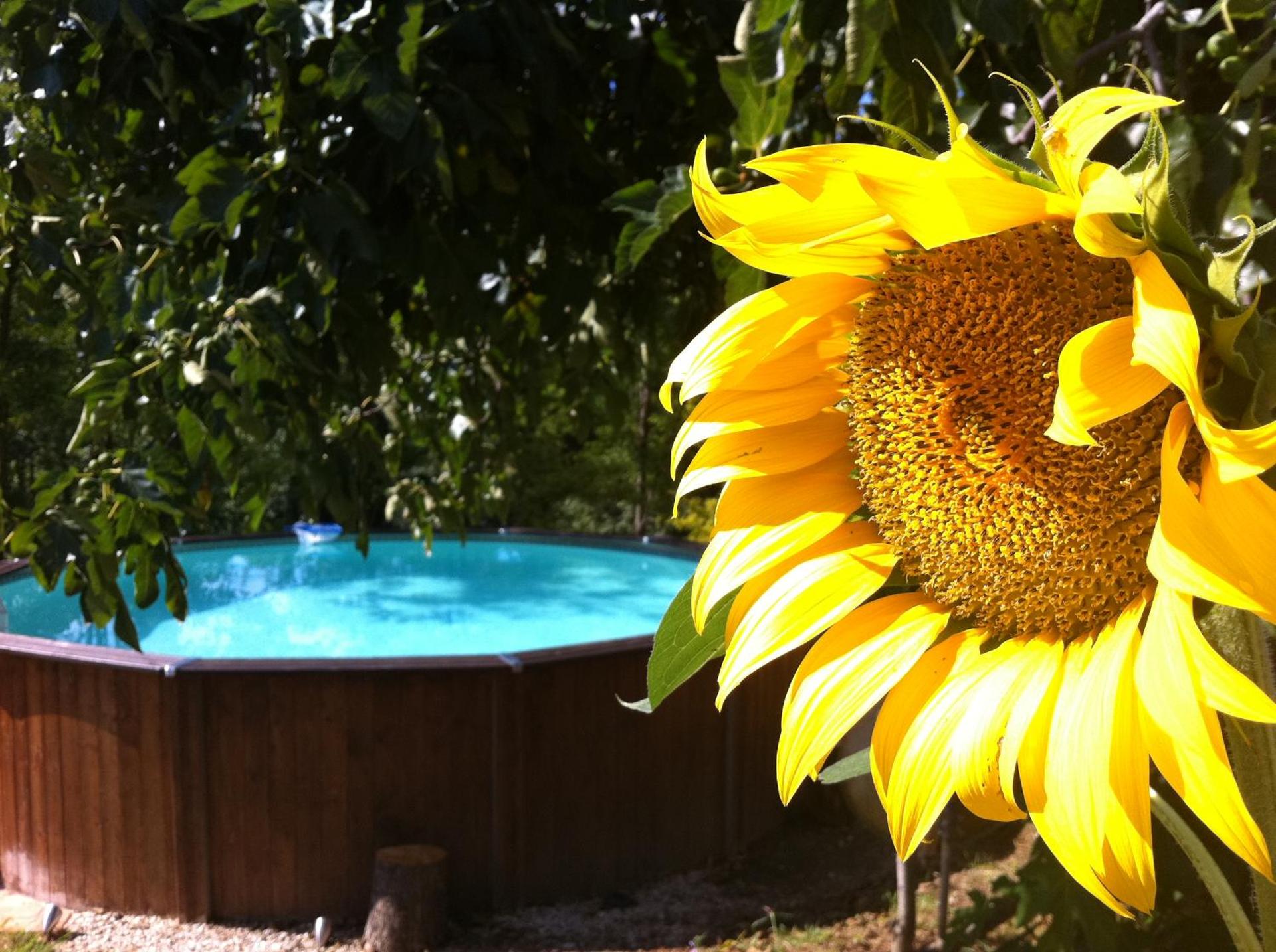 Il Nascondiglio - The Hideaway - Photo 56